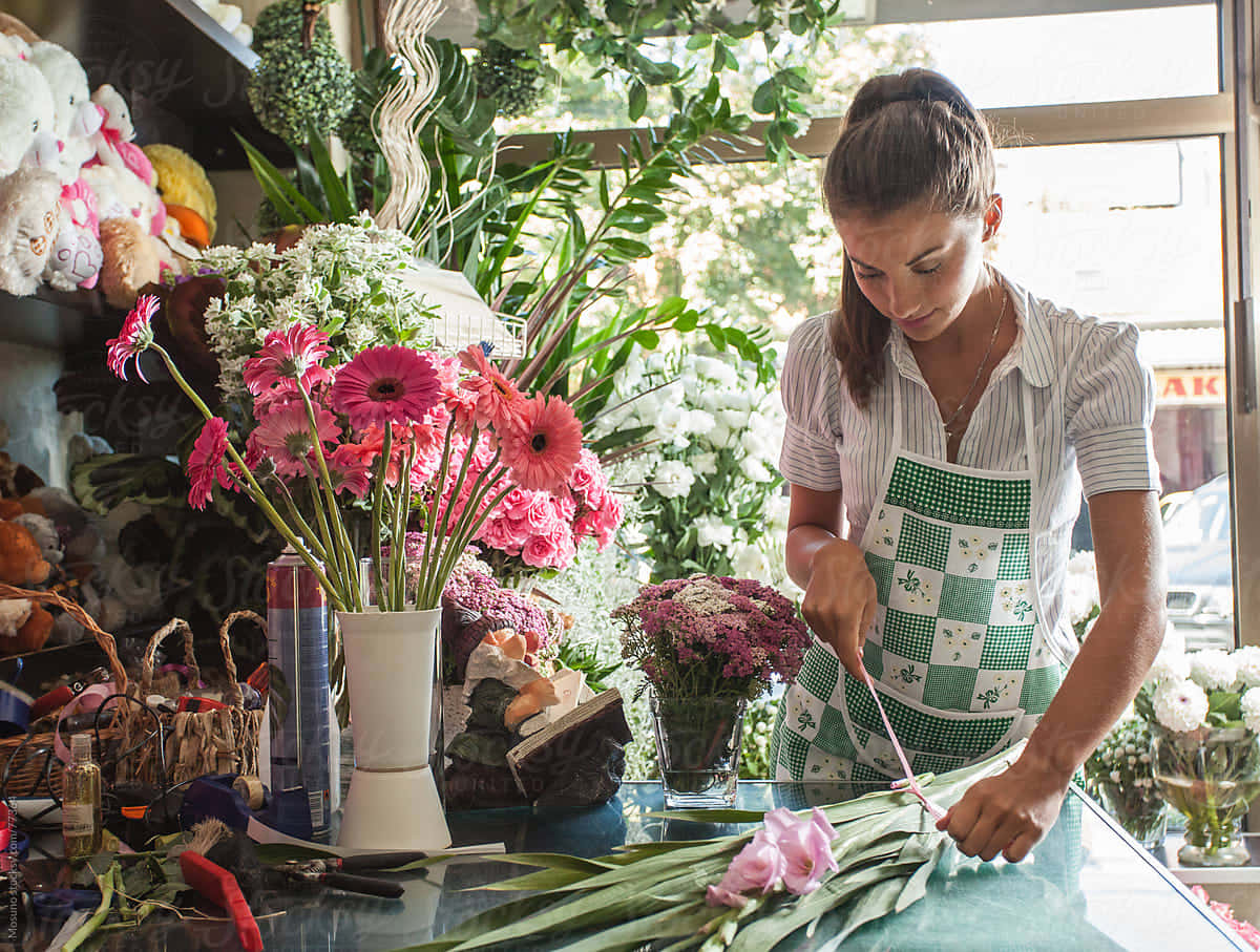 florist, green checkered apron, pink gerbera daisies, SD Desktop Wallpaper