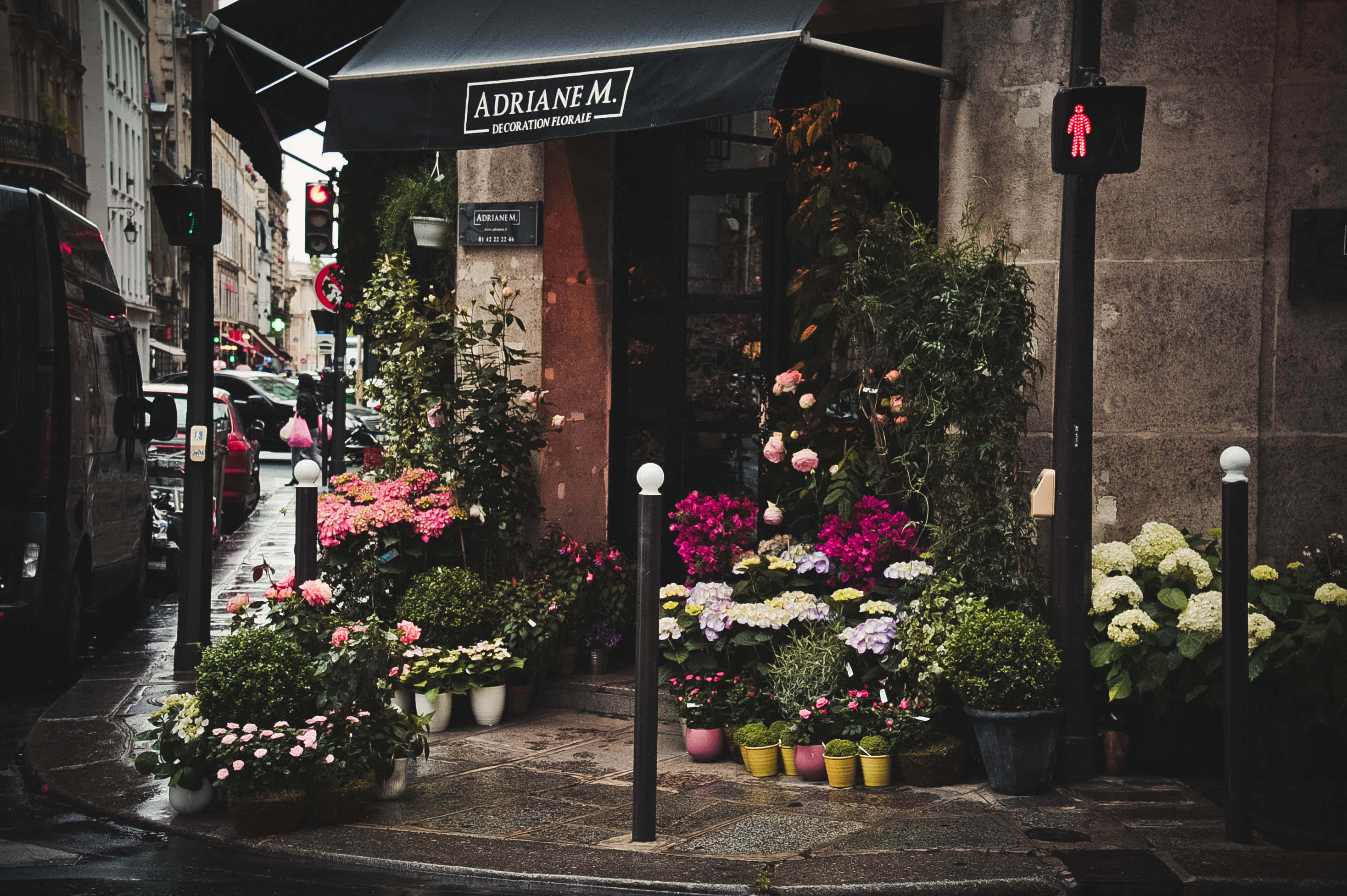 florist, European flower shop, rainy cobblestone street corner, 2K Desktop Wallpaper