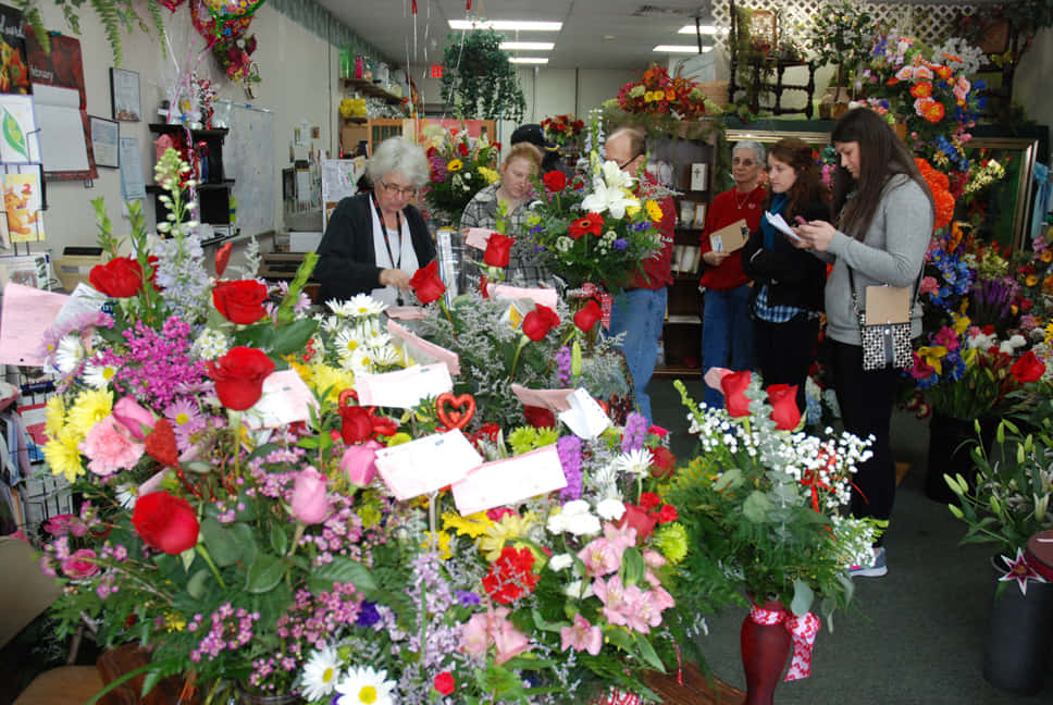 florist, bright red, pink, SD Desktop Wallpaper