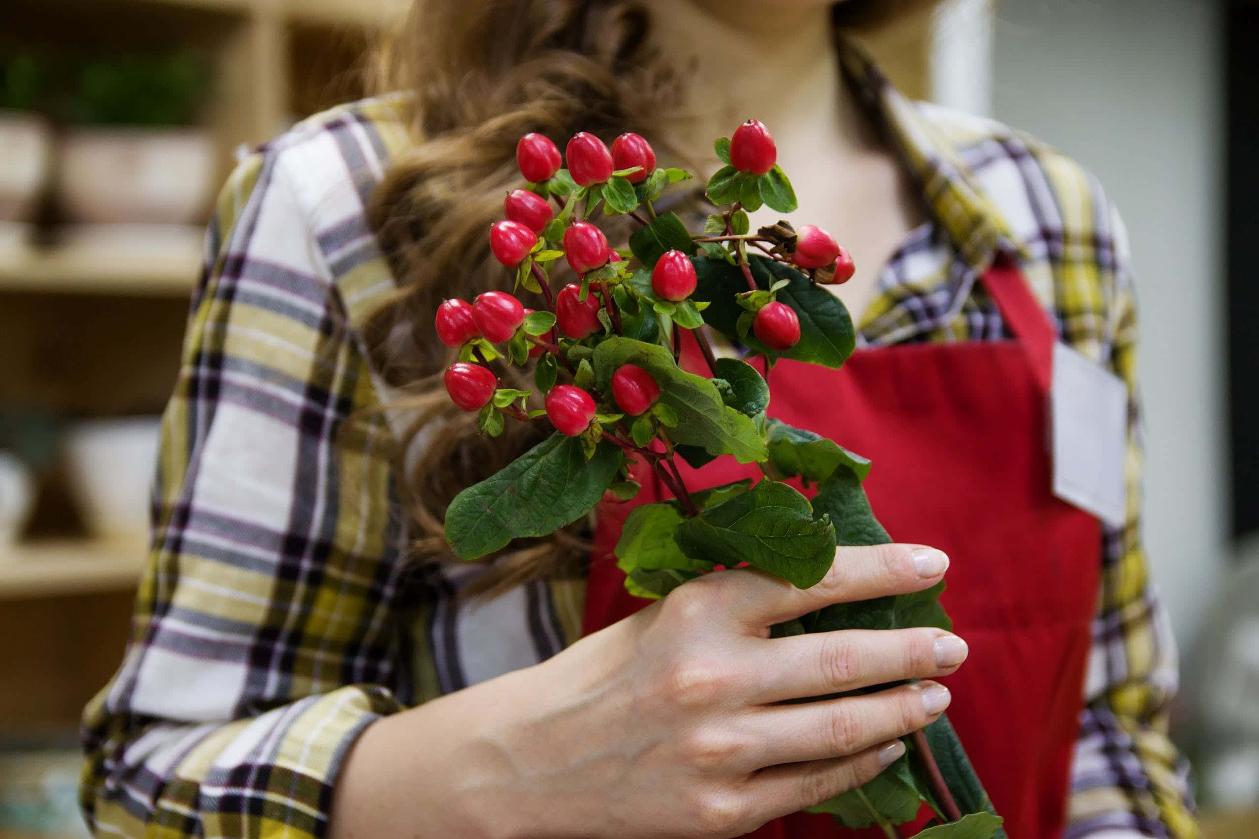 florist, red apron, vibrant cluster of red berries and green leaves, 2K Desktop Wallpaper