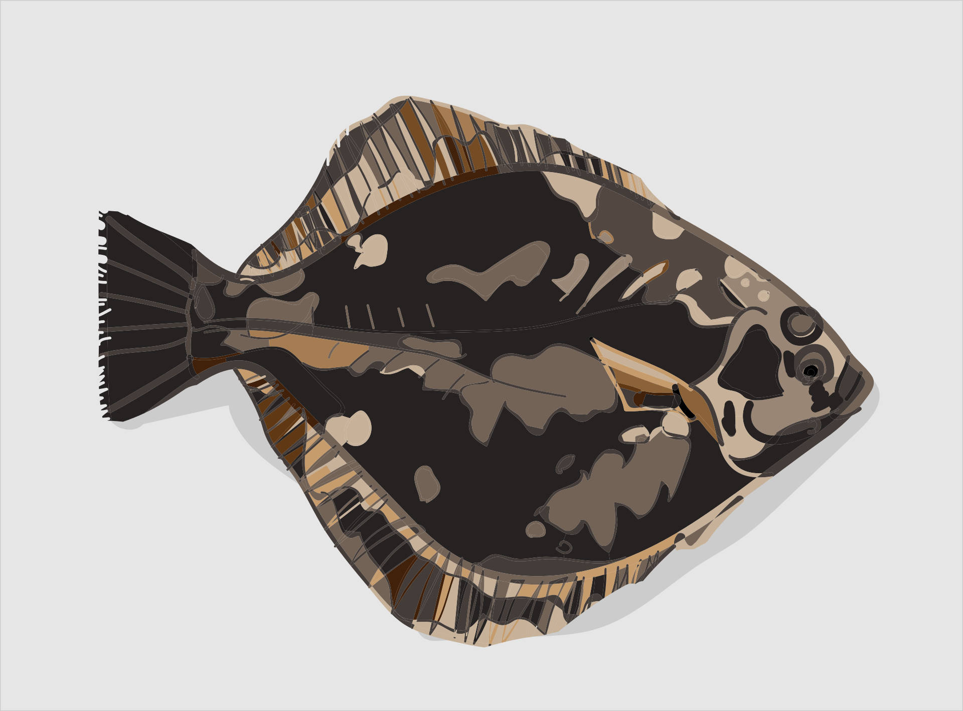 Flounder, dark scale, black, Full HD Desktop Wallpaper