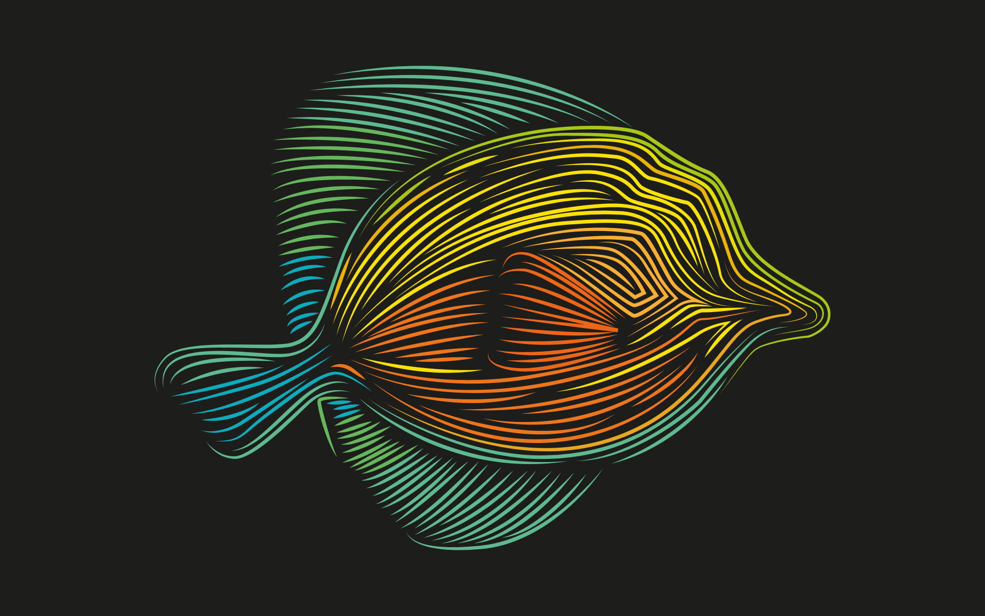 Flounder, digital line art, teal, Full HD Desktop Wallpaper