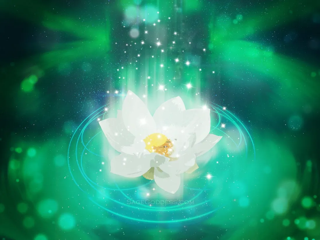Flower Aesthetic