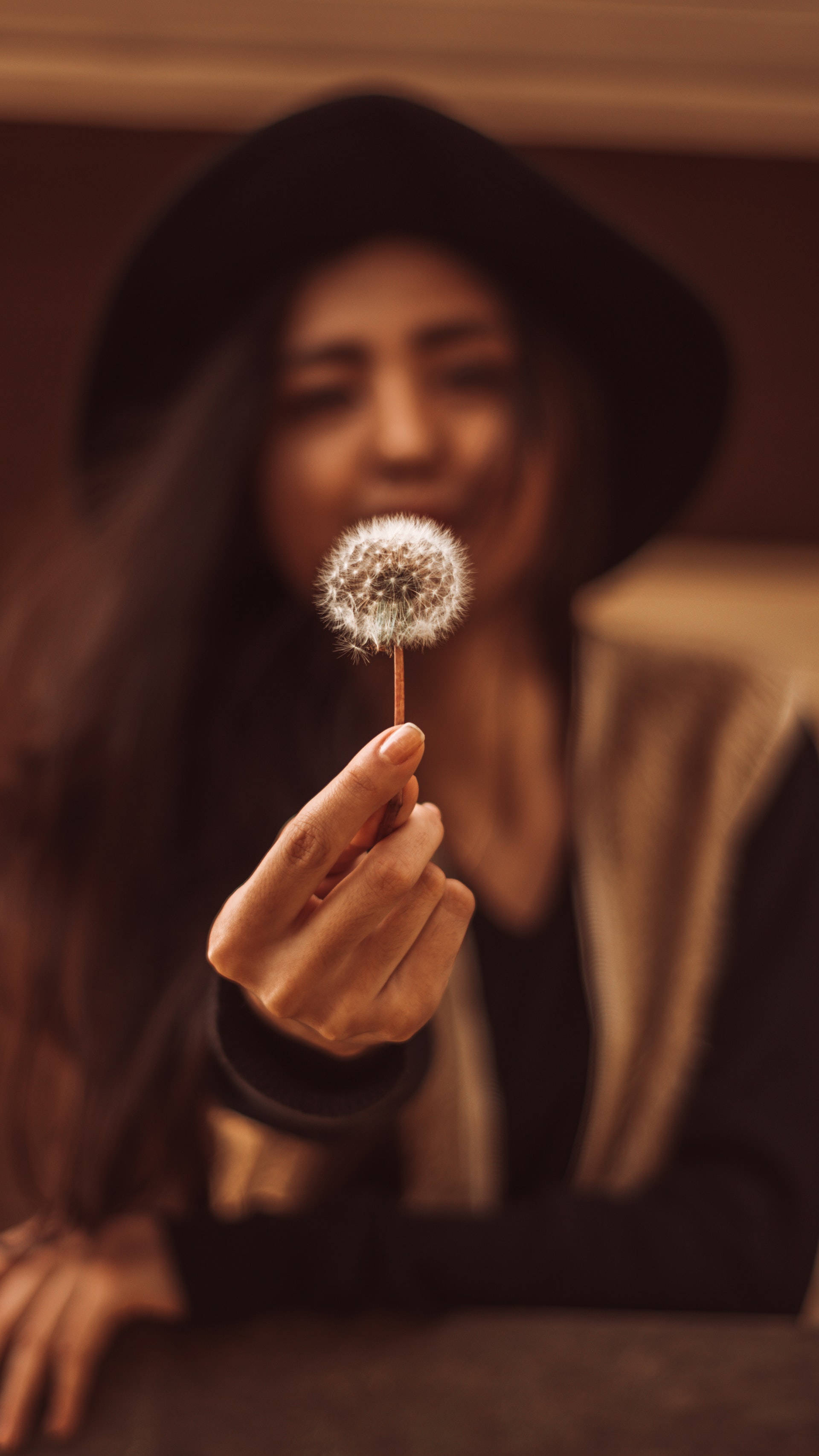 woman, black hat, dandelion clock, 2K Phone Wallpaper