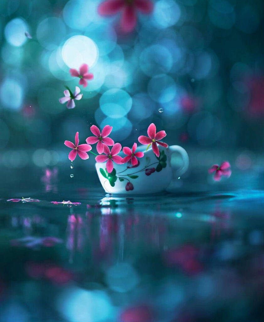 WhatsApp DP Flower Cup, white teacup, pink flowers, SD Phone Wallpaper