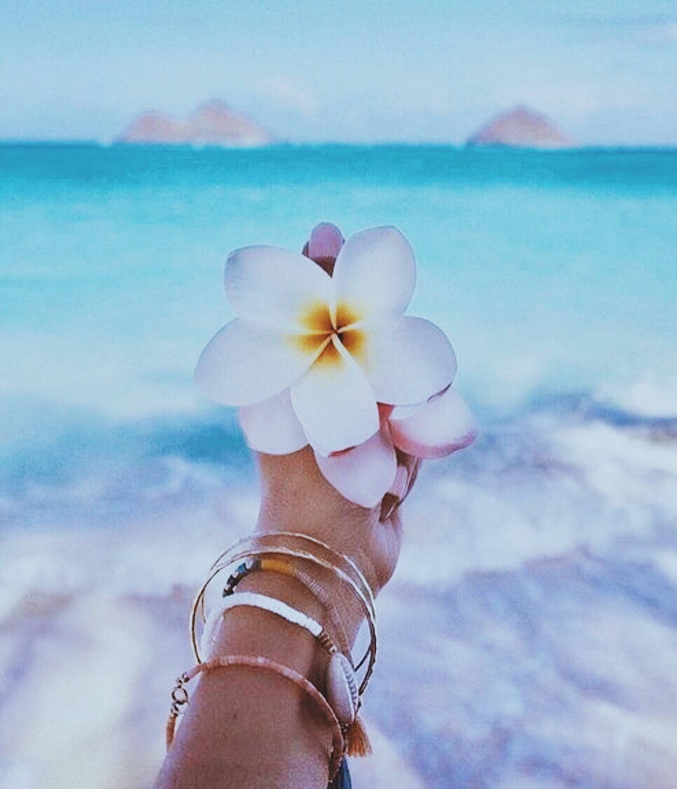 white frangipani flower, blurred turquoise ocean, distant islands, SD Phone Wallpaper
