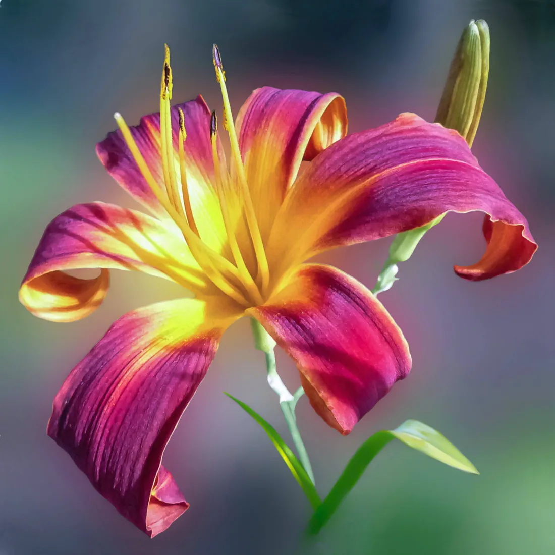 Flower Android