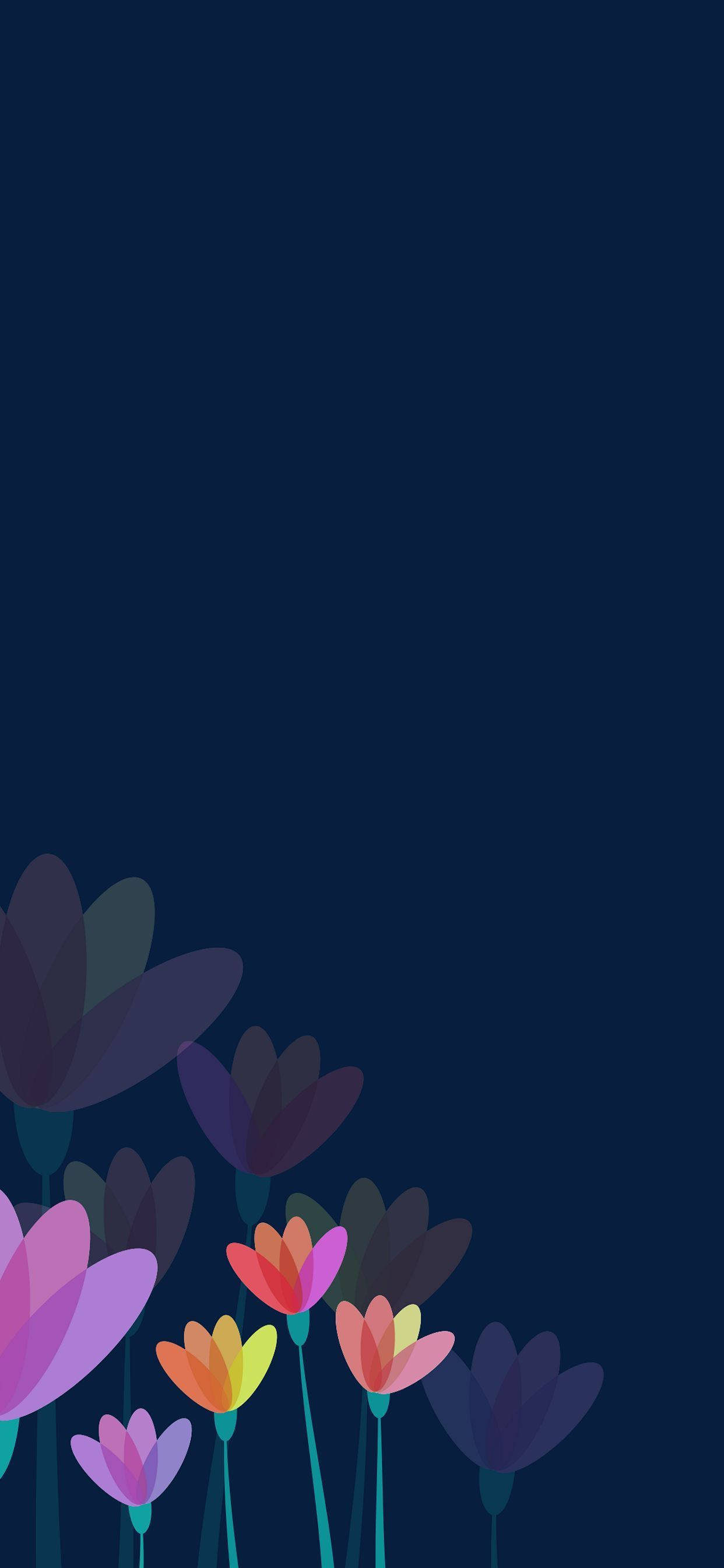 crocus flower apple, pink, yellow, 2K Phone Wallpaper