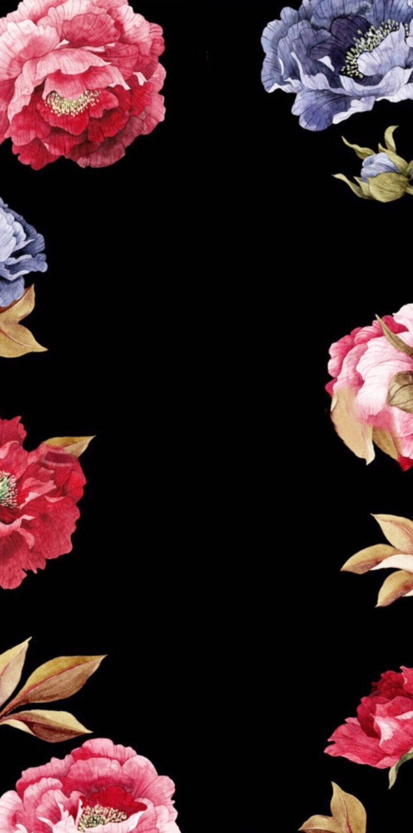 Flower Frame, floral iPhone, pink and blue peonies, HD Phone Wallpaper