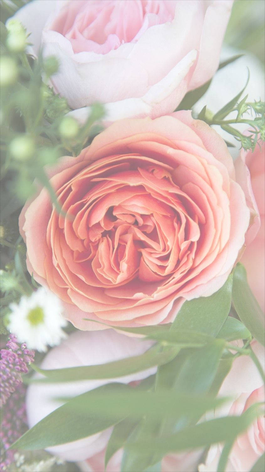 blooming floral iphone, peach, pink, HD Phone Wallpaper