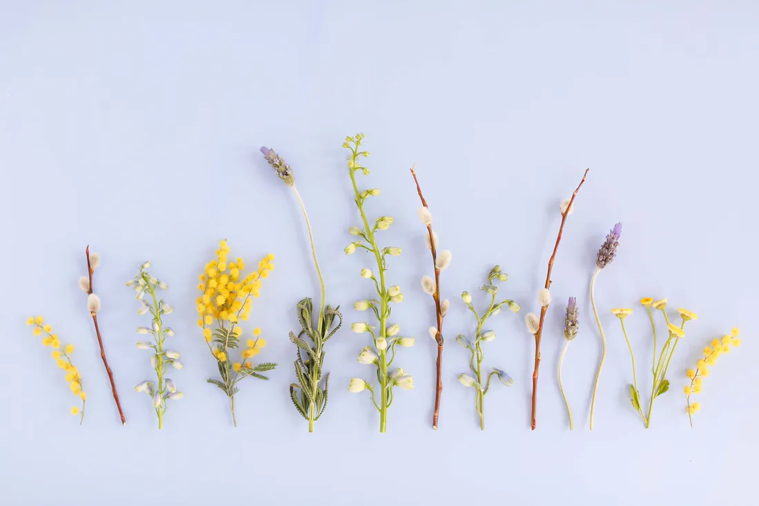 Flower Arrangement