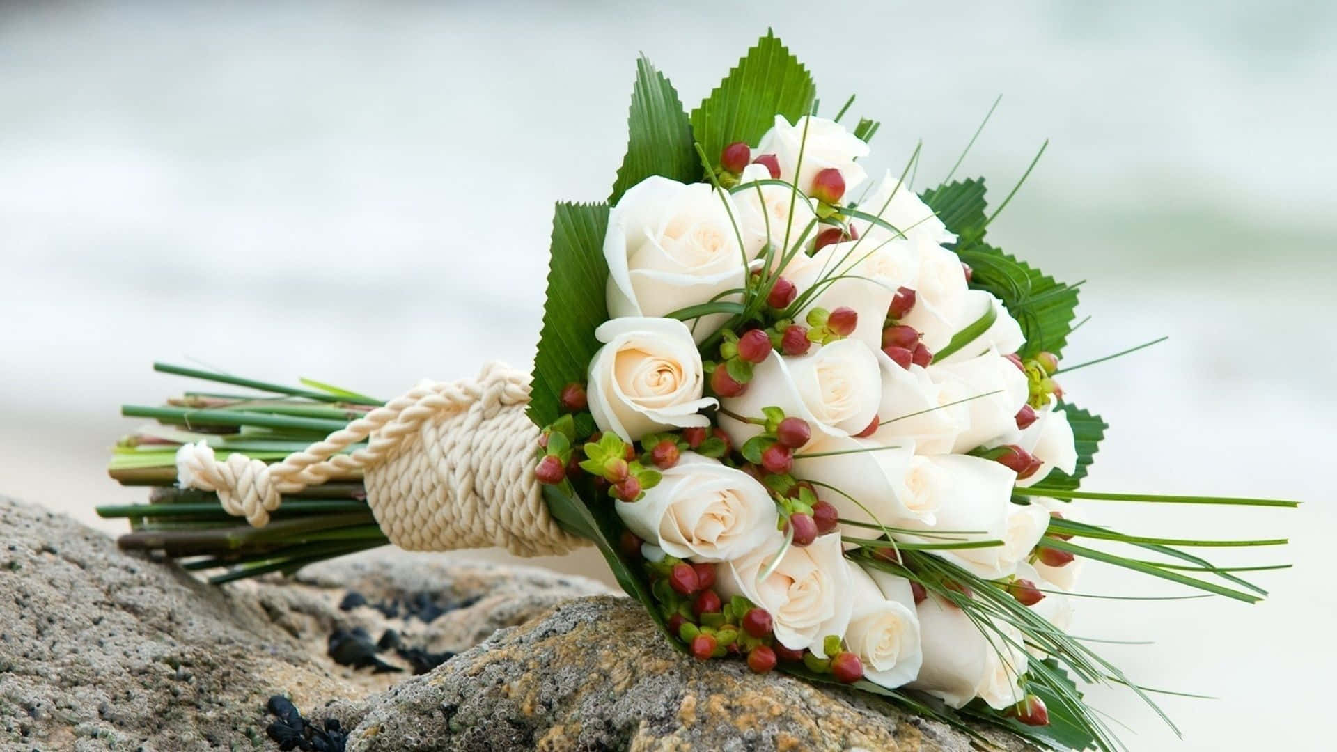 white roses, red berries, rope, Full HD Desktop Wallpaper