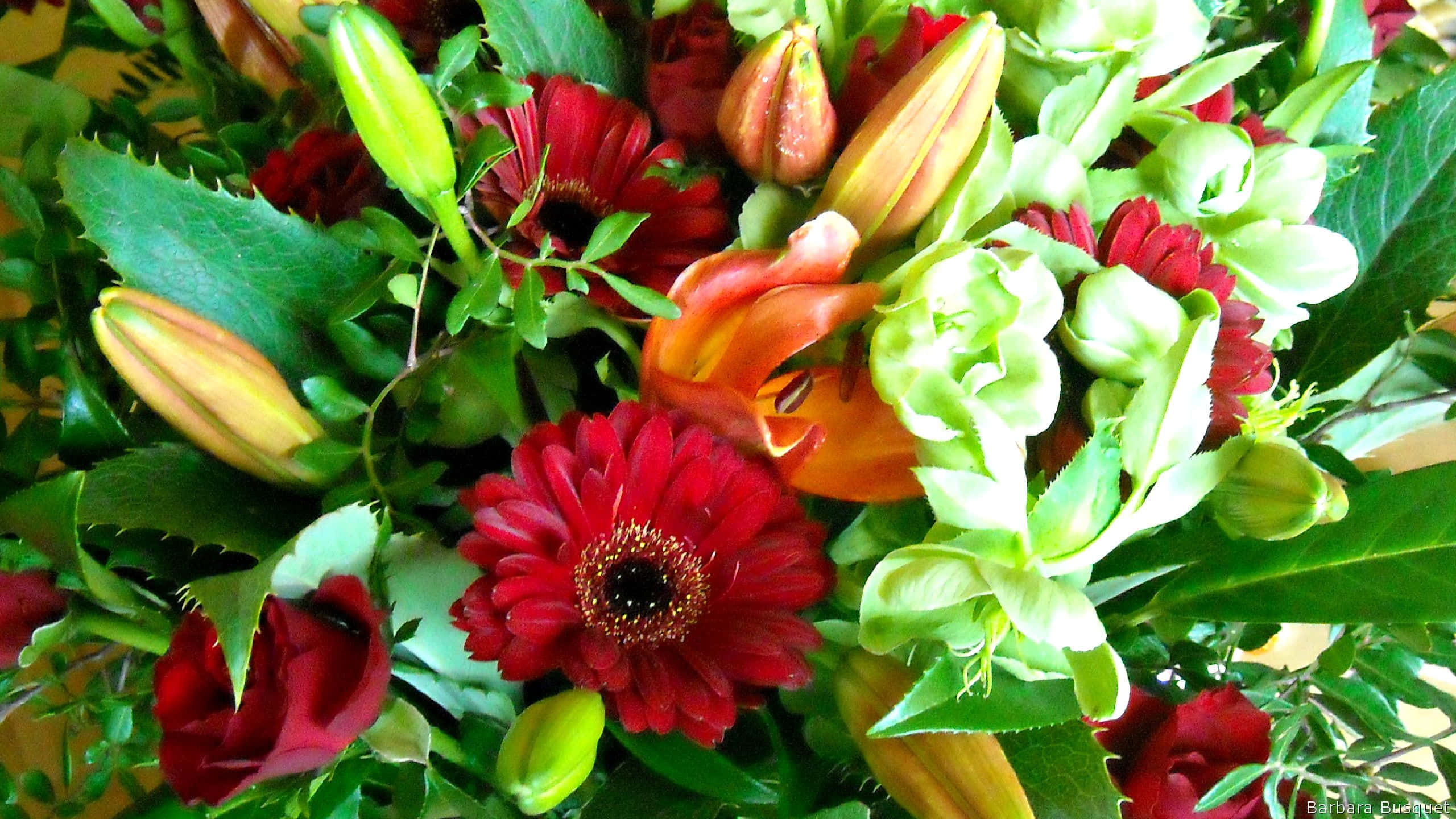 red gerbera daisies, orange lilies, green hellebore buds, 2K Desktop Wallpaper