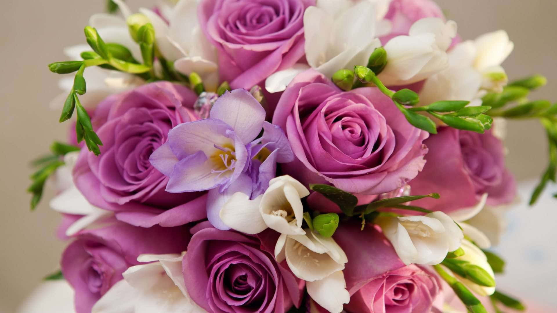 purple roses, white freesias, green stems, Full HD Desktop Wallpaper