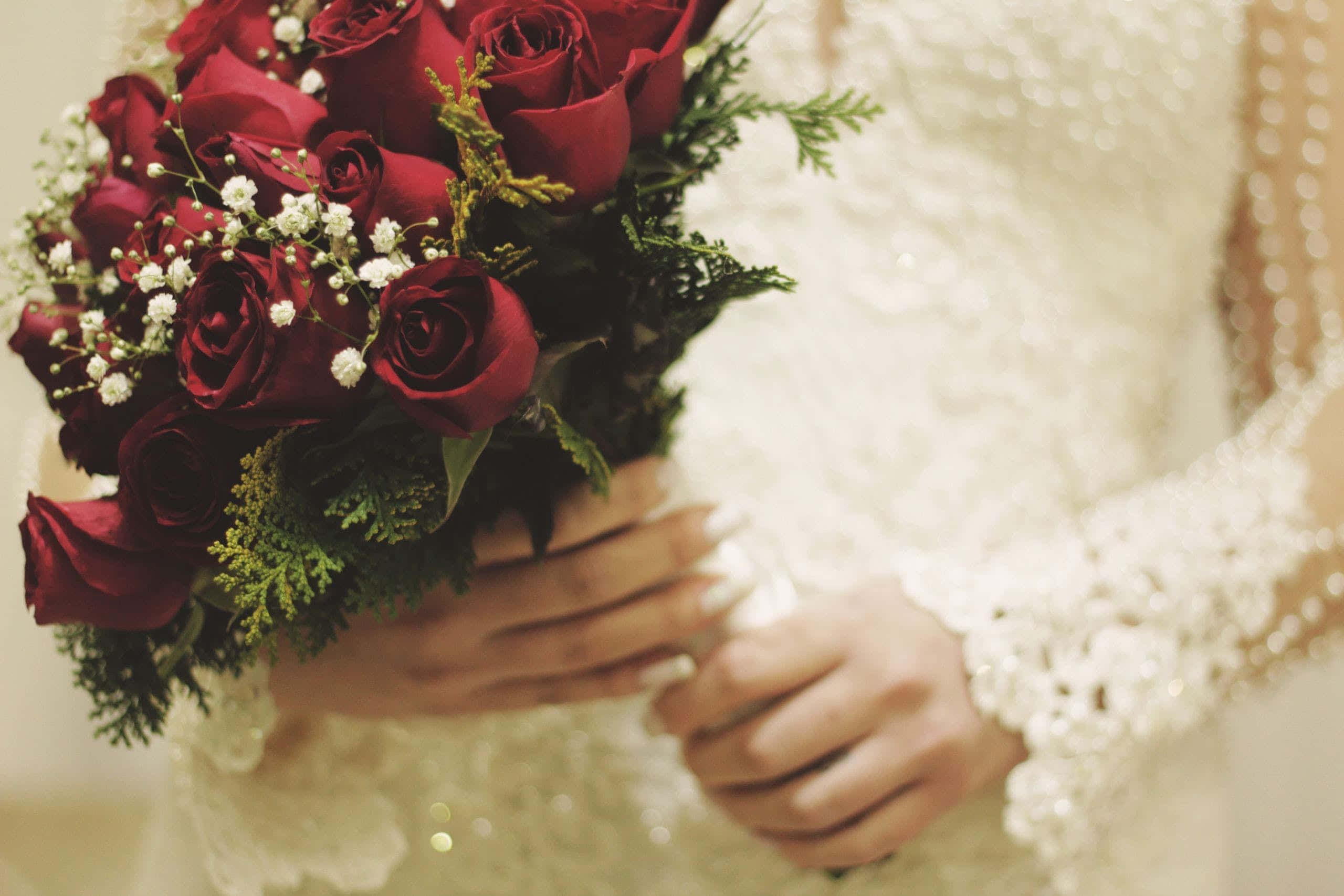 white lace gown, deep red roses, baby's breath, 2K Desktop Wallpaper
