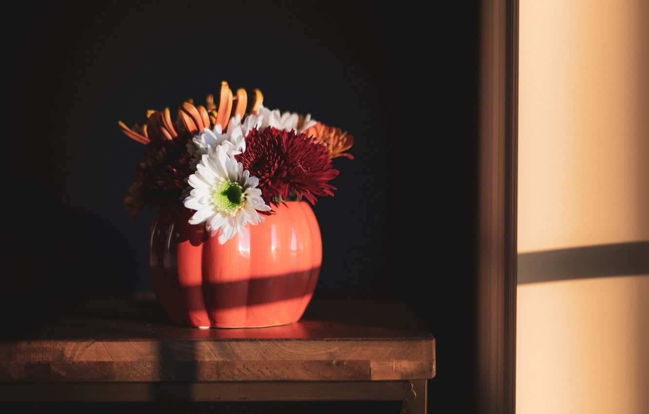 pumpkin-shaped vase, autumn flowers, warm sunlight, HD Desktop Wallpaper