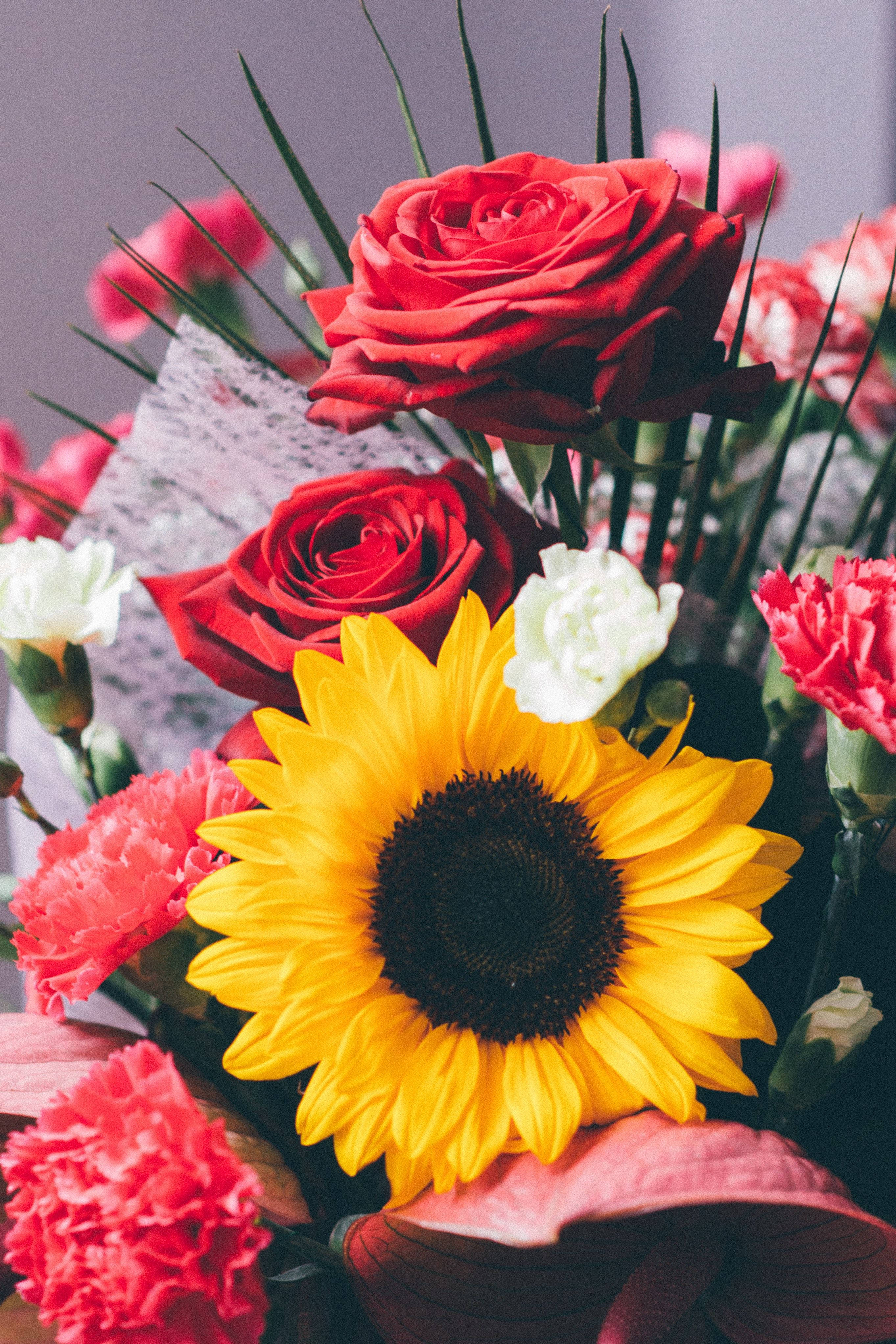 sunflower, roses, pink carnations, 4K Phone Wallpaper