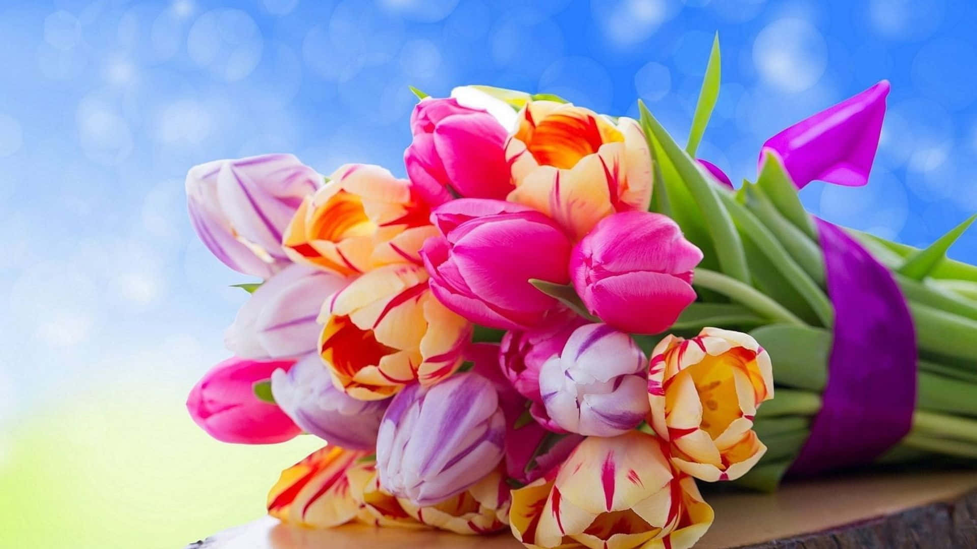 floral arrangement, multicolored tulips, purple ribbon, Full HD Desktop Wallpaper