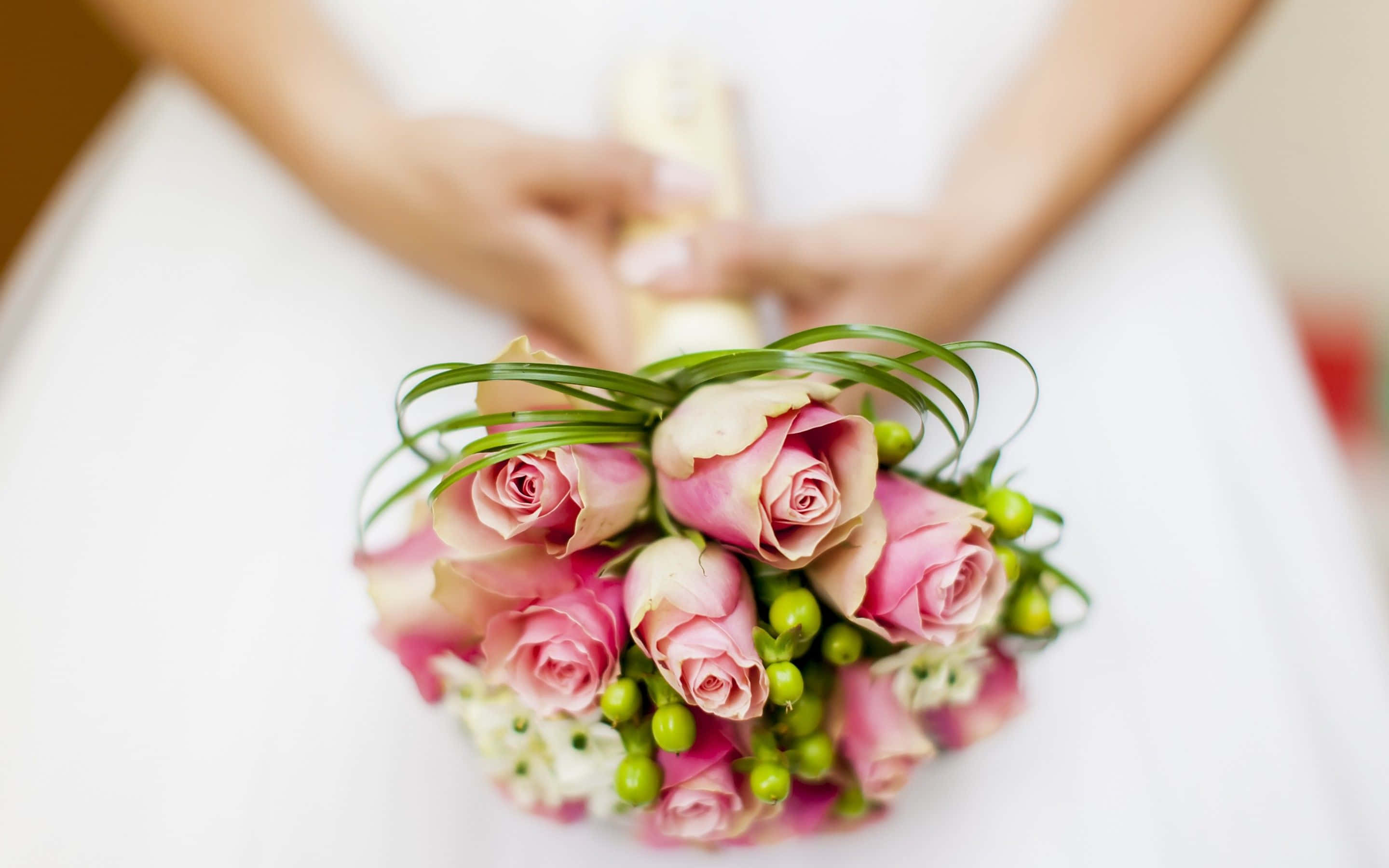 pink roses, green berries, soft white dress, 2K Desktop Wallpaper