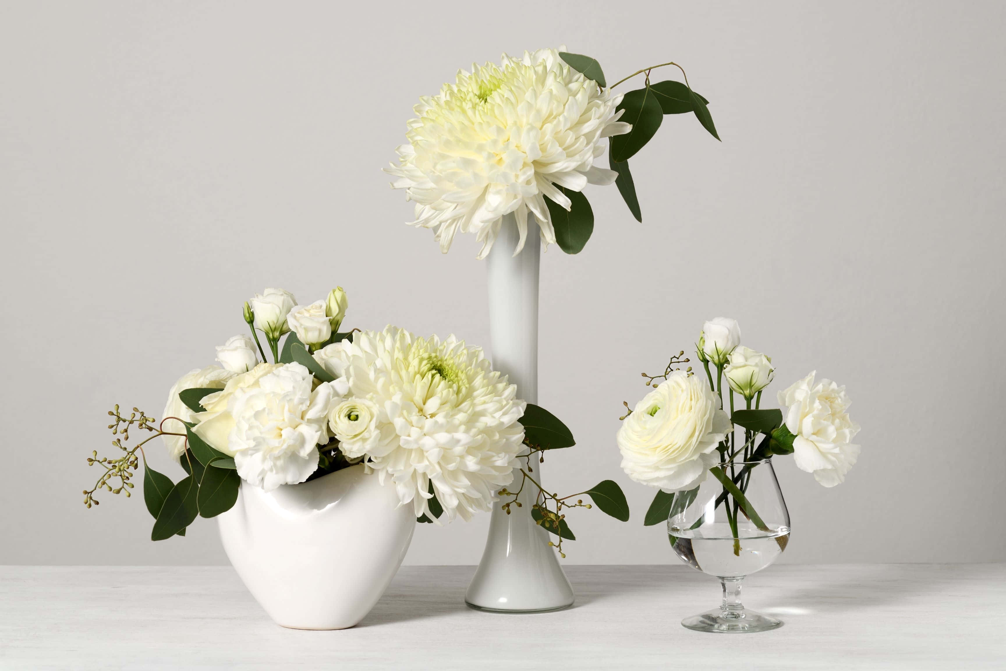 elegant white floral arrangement, minimalist white surface, soft gray background, 2K Desktop Wallpaper