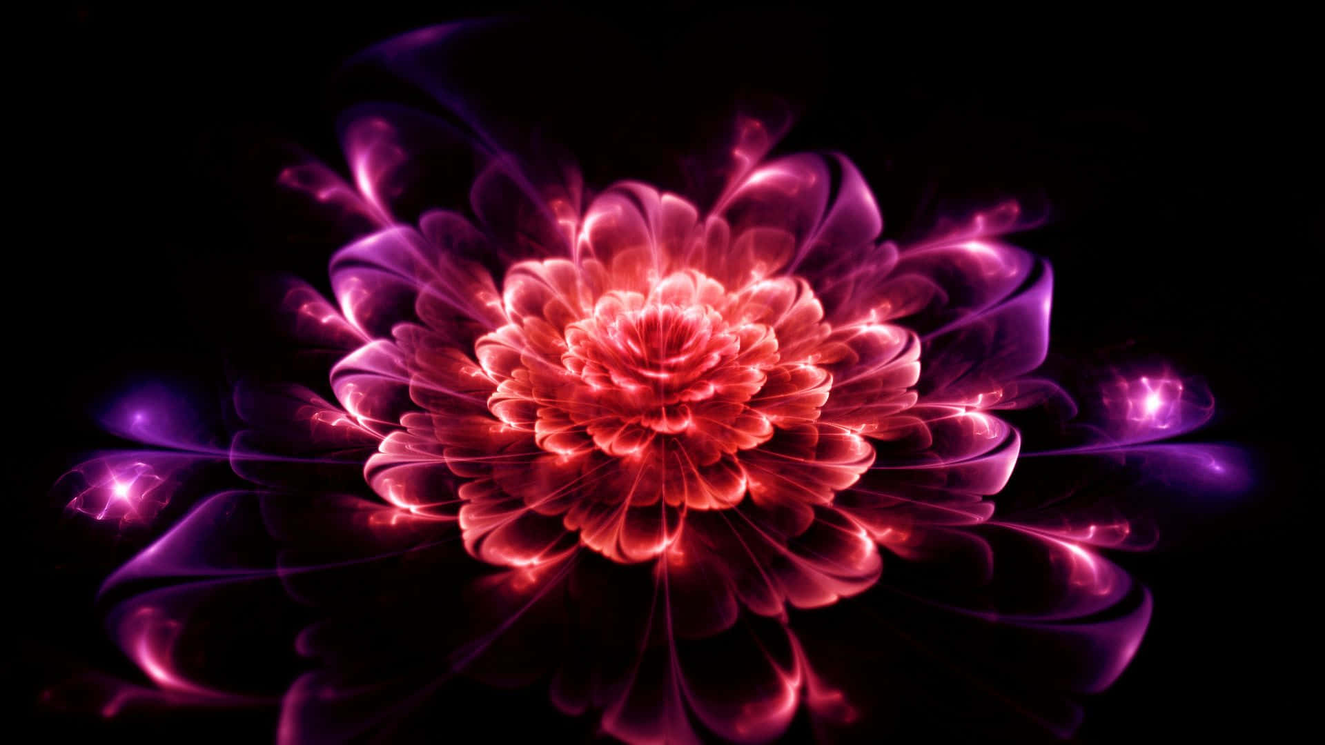 flower art, fractal flower, fiery red, Full HD Desktop Wallpaper