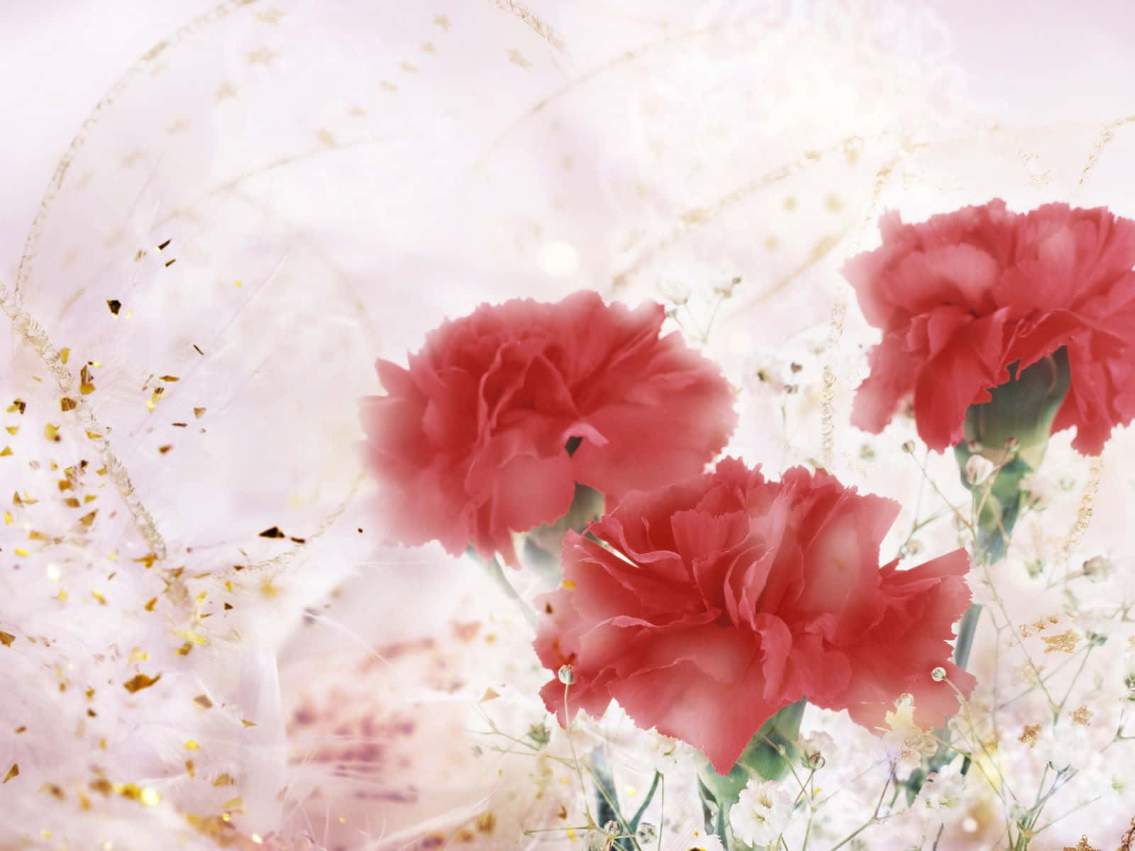 flower art, vibrant red carnations, soft white fabric, HD Desktop Wallpaper