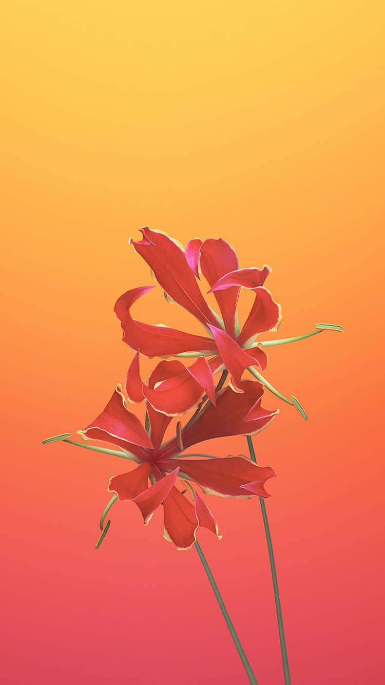 flower art, vivid red flowers, delicate petals, HD Phone Wallpaper