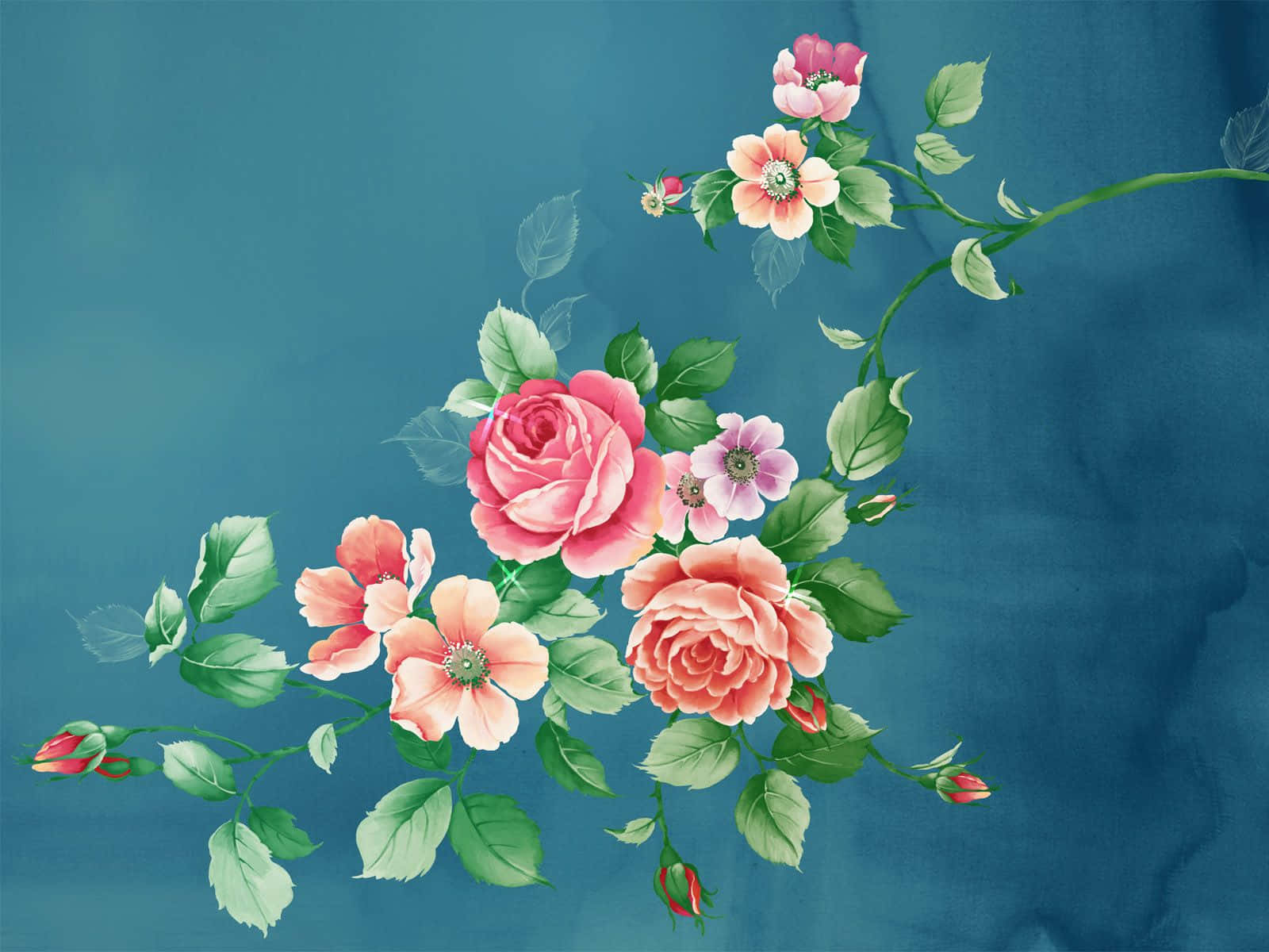 pink roses, green leaves, textured teal background, HD Desktop Wallpaper