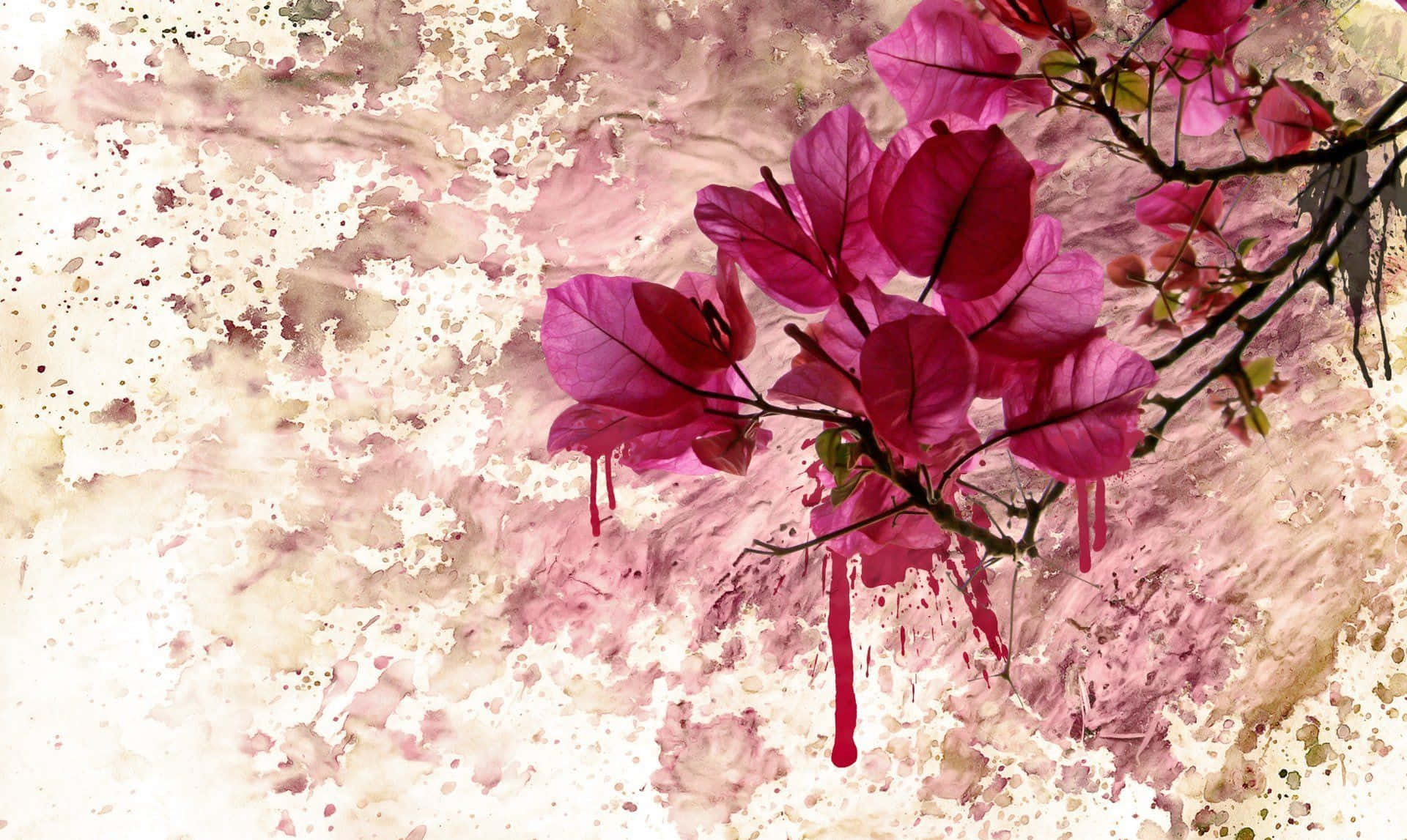 magenta bougainvillea, textured beige and pink watercolor wash background, Stunning Exotic Flower Art, Full HD Desktop Wallpaper