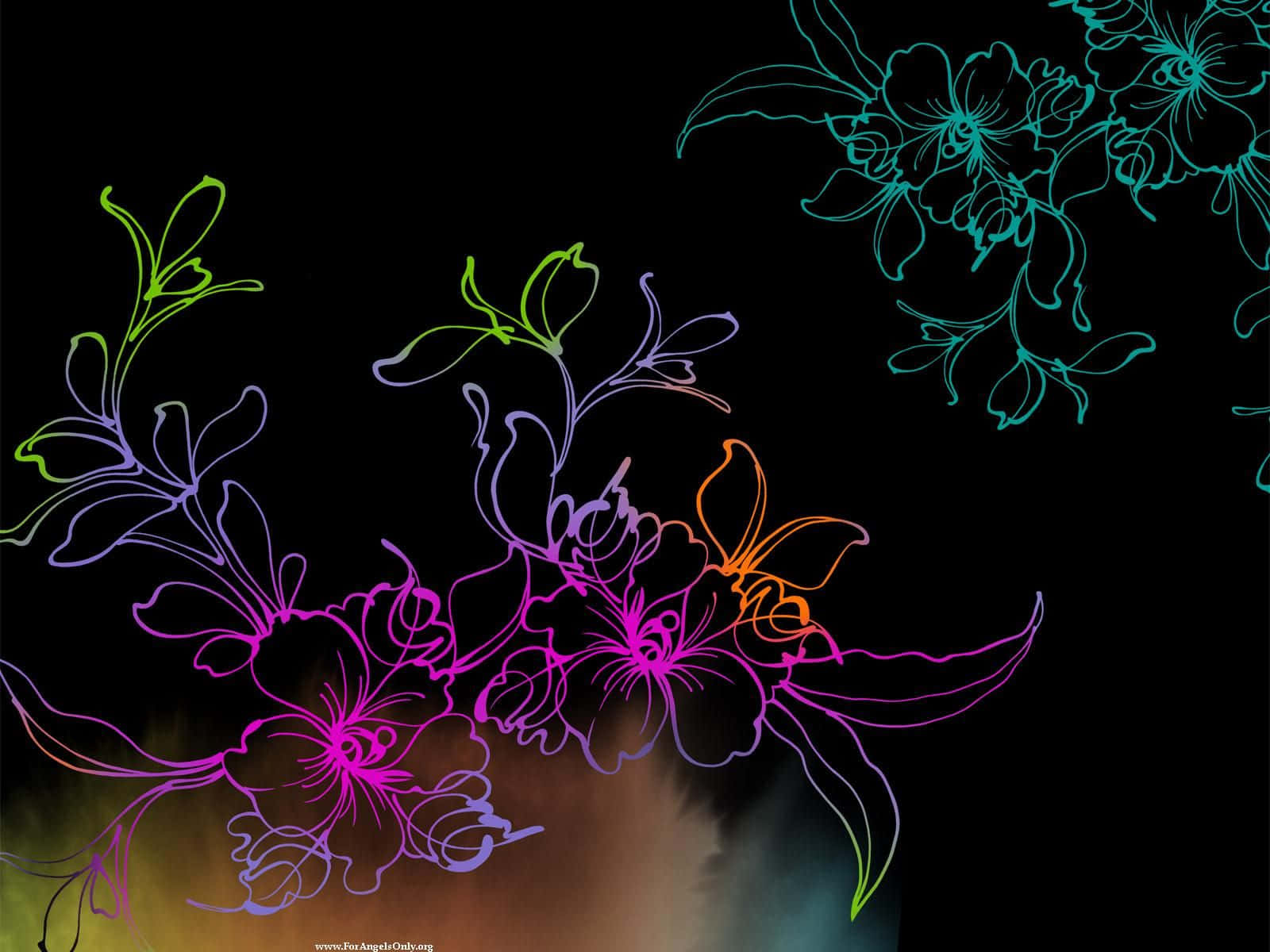 flower art, neon floral outlines, black background, HD Desktop Wallpaper