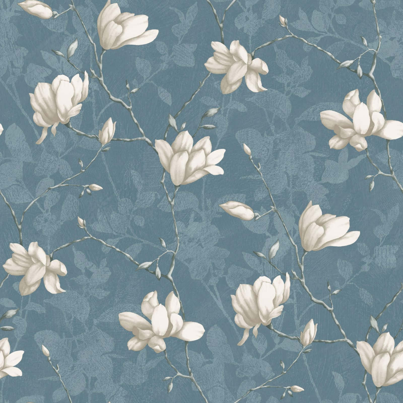 cream magnolia blossoms, branches, textured blue wallpaper background, HD Desktop Wallpaper