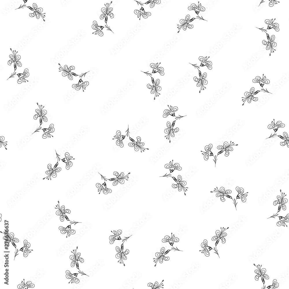white background, black and white flowers, delicate black line drawings, SD Desktop Wallpaper