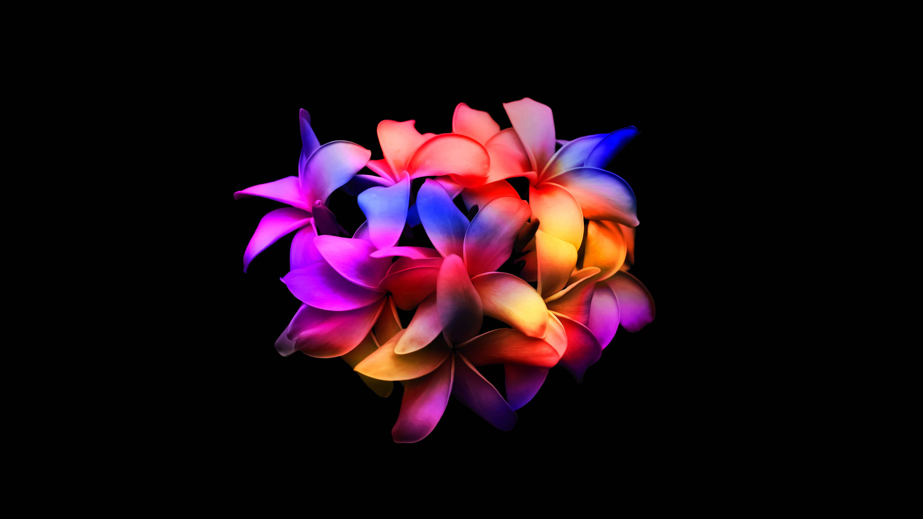 4d flower art, plumeria flowers, vibrant gradient, 4K Desktop Wallpaper