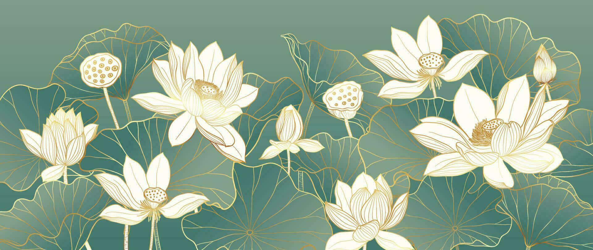 elegant lotus flowers, white lotus flowers, gold outlines, Full HD Desktop Wallpaper