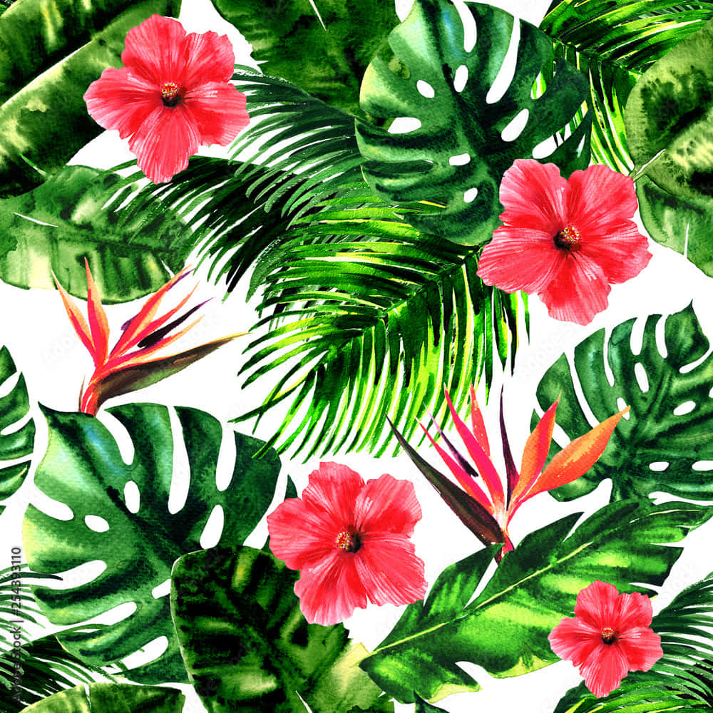 pink hibiscus, bird of paradise flowers, vibrant tropical foliage, SD Desktop Wallpaper