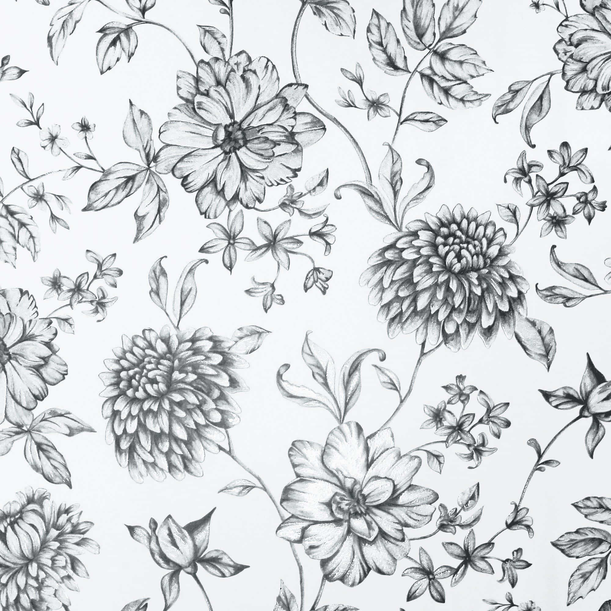 flower drawing, black and white floral pattern, pencil-style chrysanthemums, Full HD Desktop Wallpaper