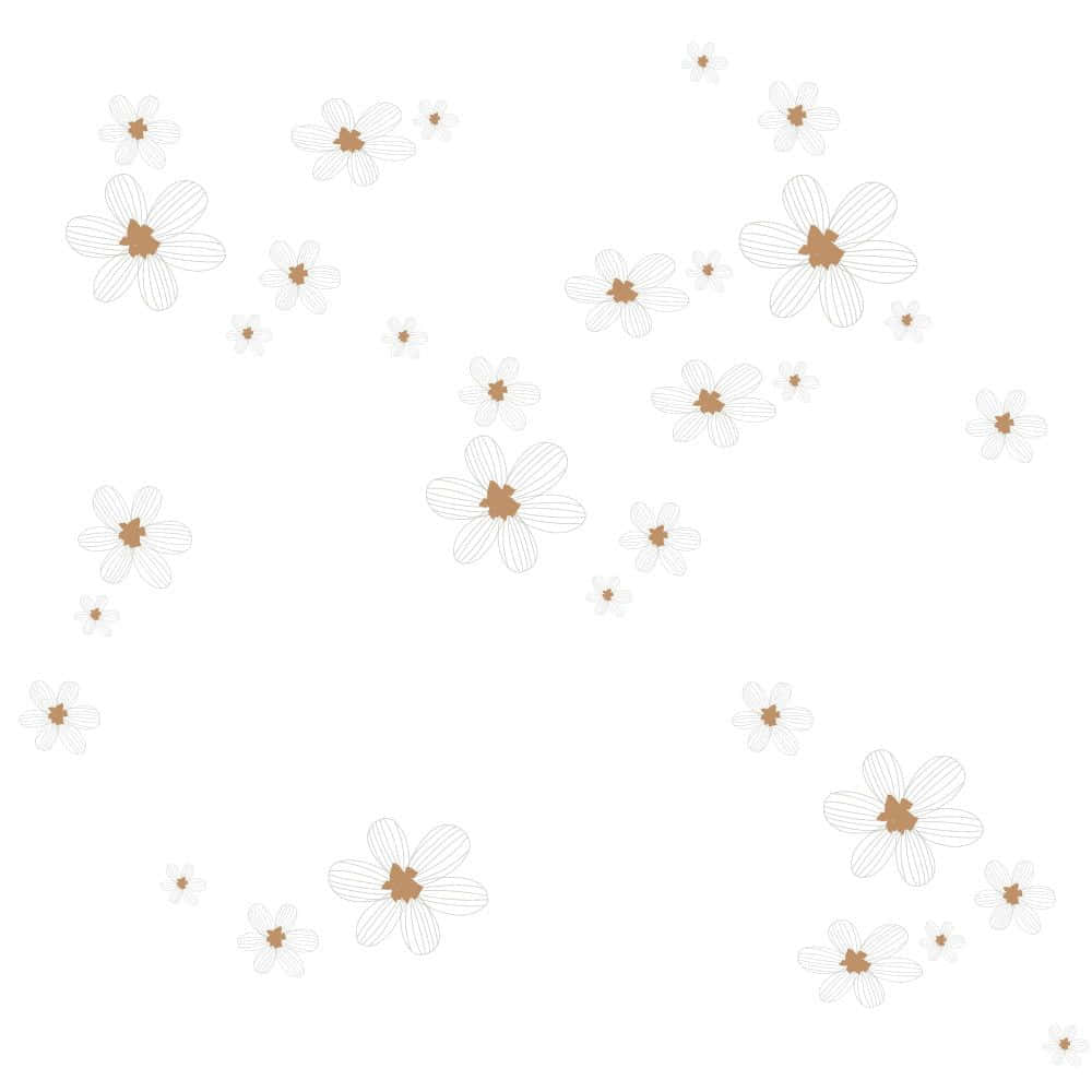 white background, white flowers, delicate line-drawn daisies, SD Desktop Wallpaper