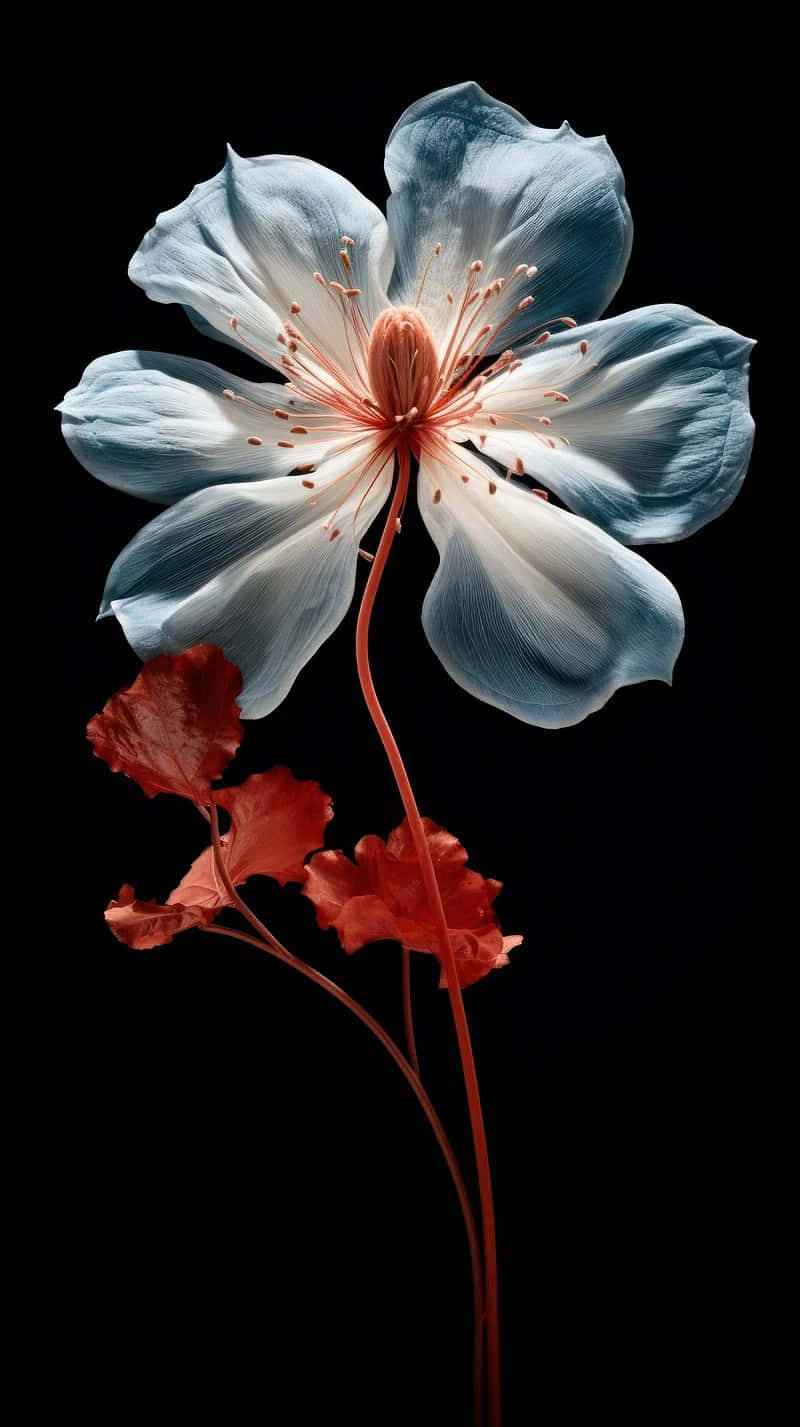 blue and white flower, red stem, leaves, HD Phone Wallpaper