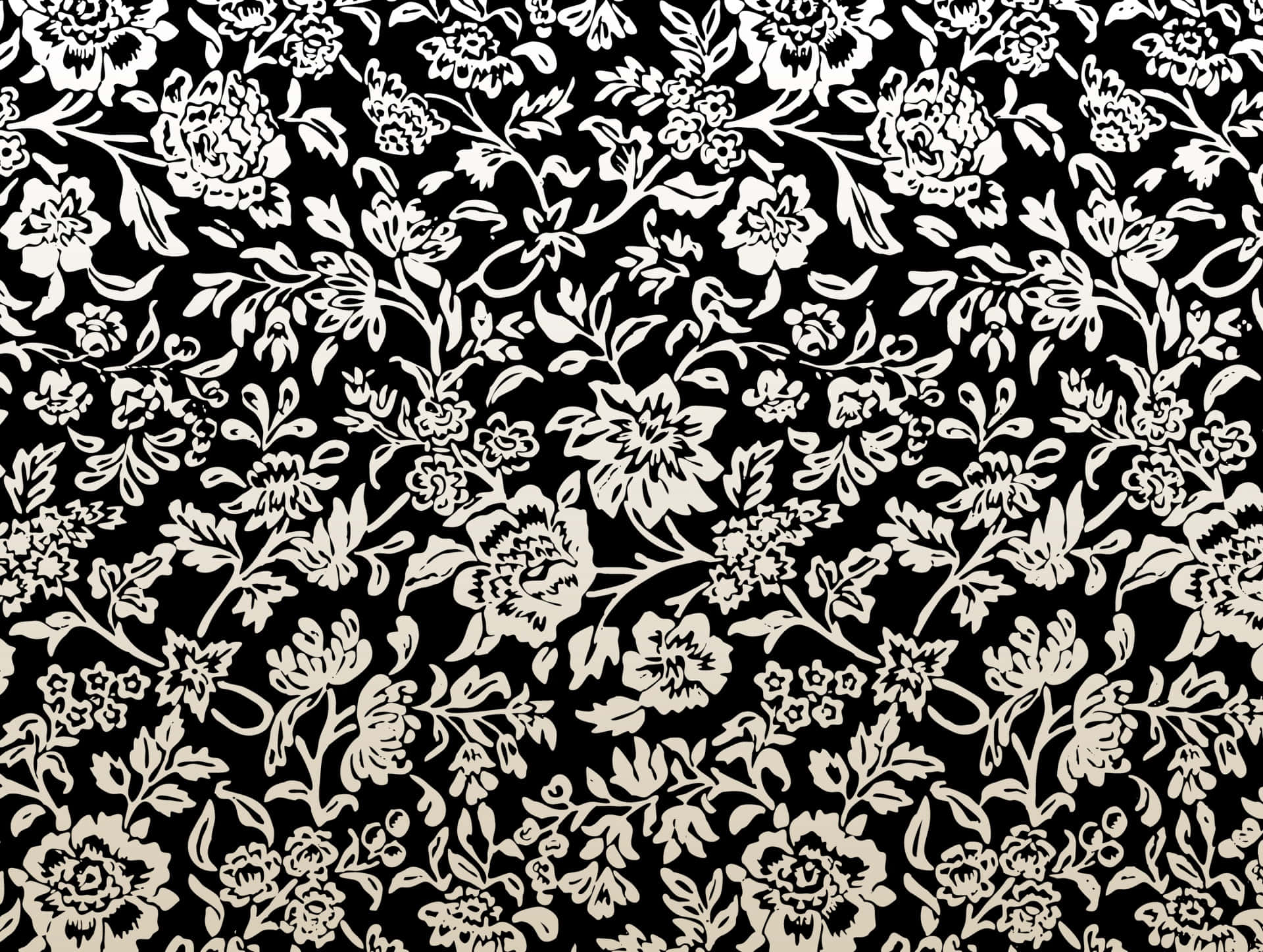 elegant blackand white floral pattern, intricate blossoms, vines, Full HD Desktop Wallpaper