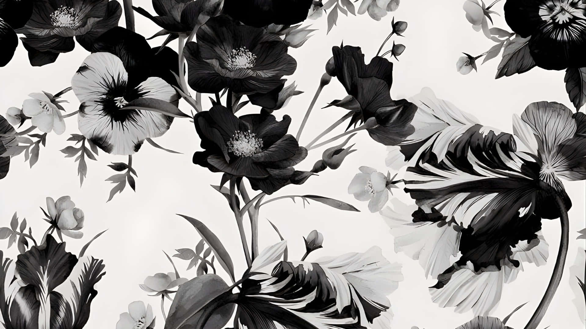 black and white floral pattern, bold black blooms, delicate white petals, Full HD Desktop Wallpaper