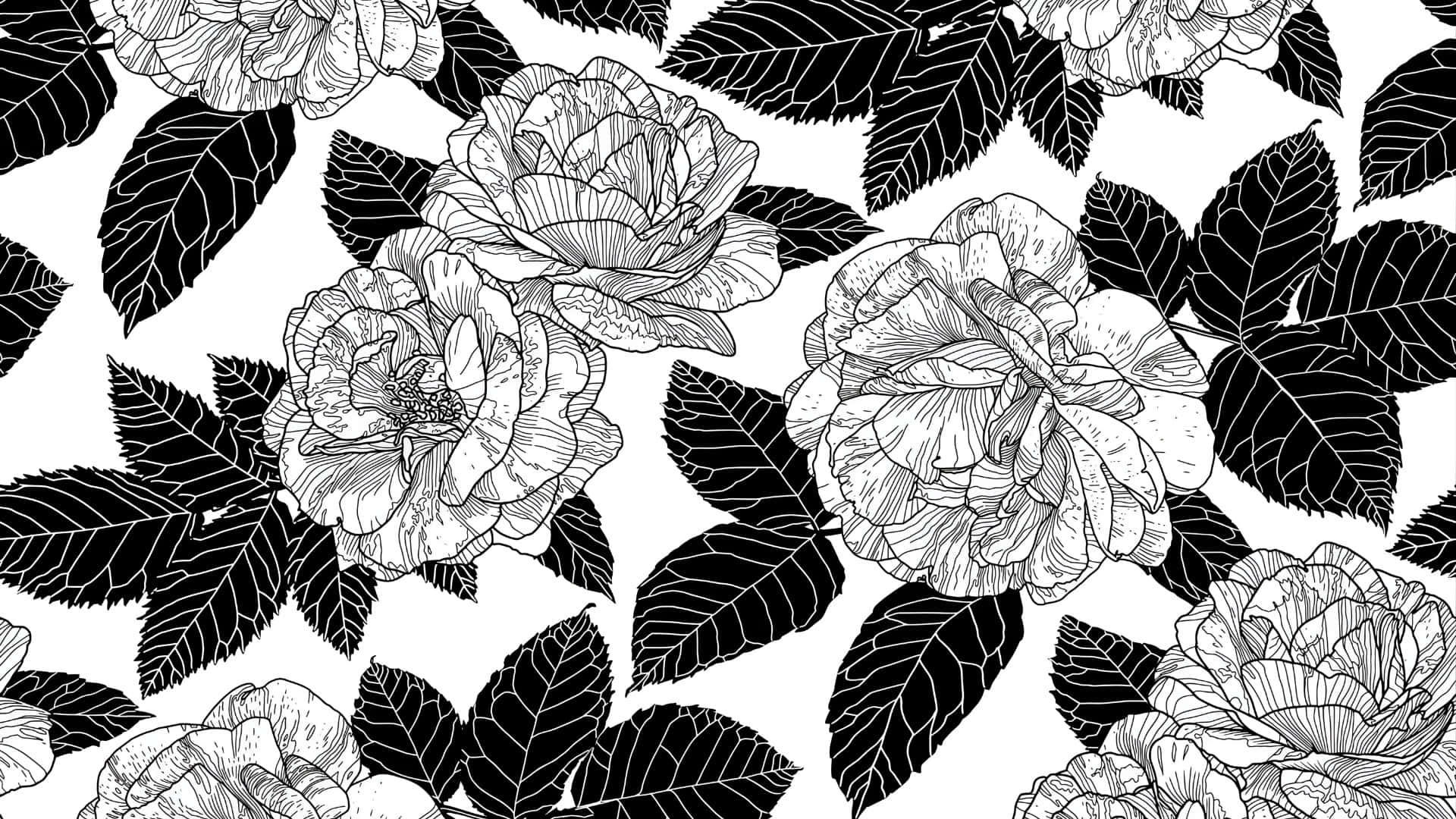 black and white floral pattern, intricately detailed roses, leaves, Full HD Desktop Wallpaper