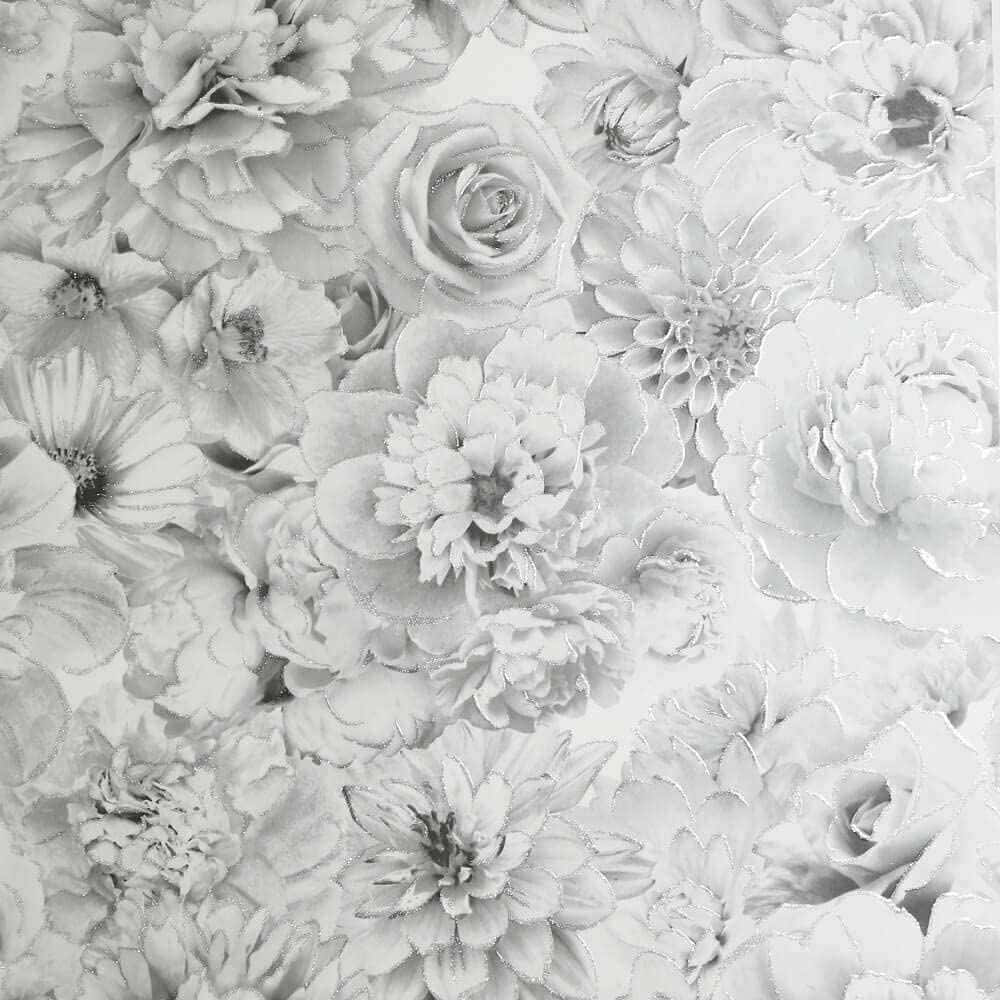 elegant monochrome blossom, monochrome wallpaper, blooming flowers, SD Desktop Wallpaper