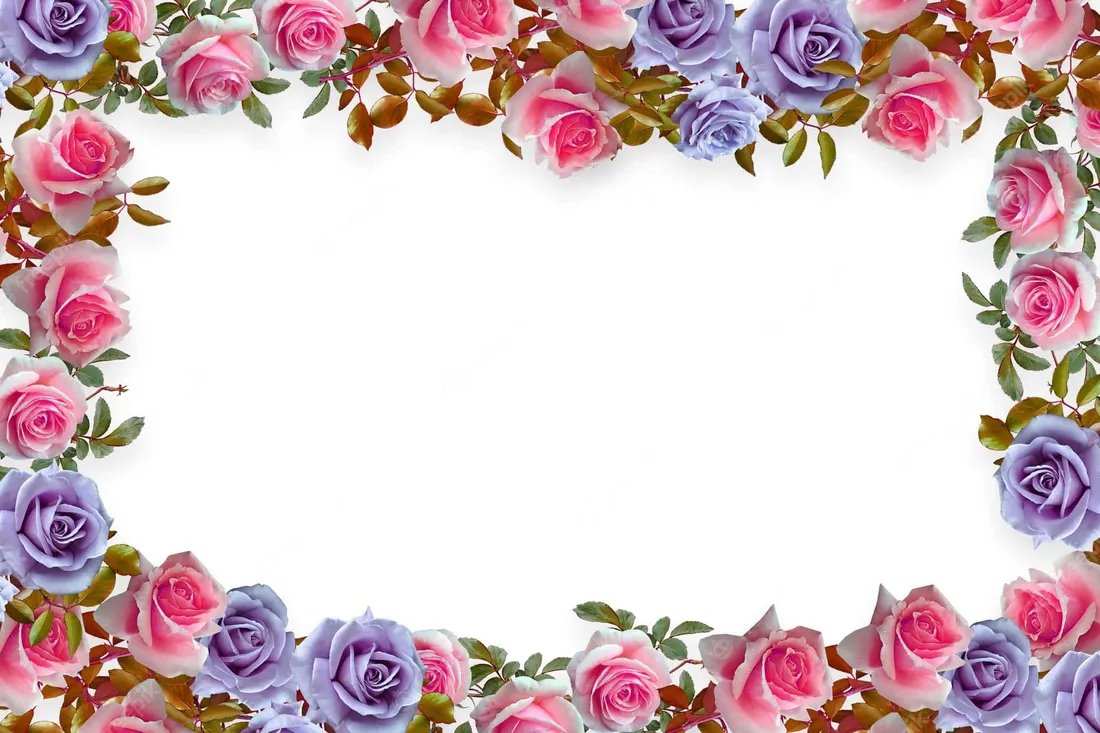 Flower Border