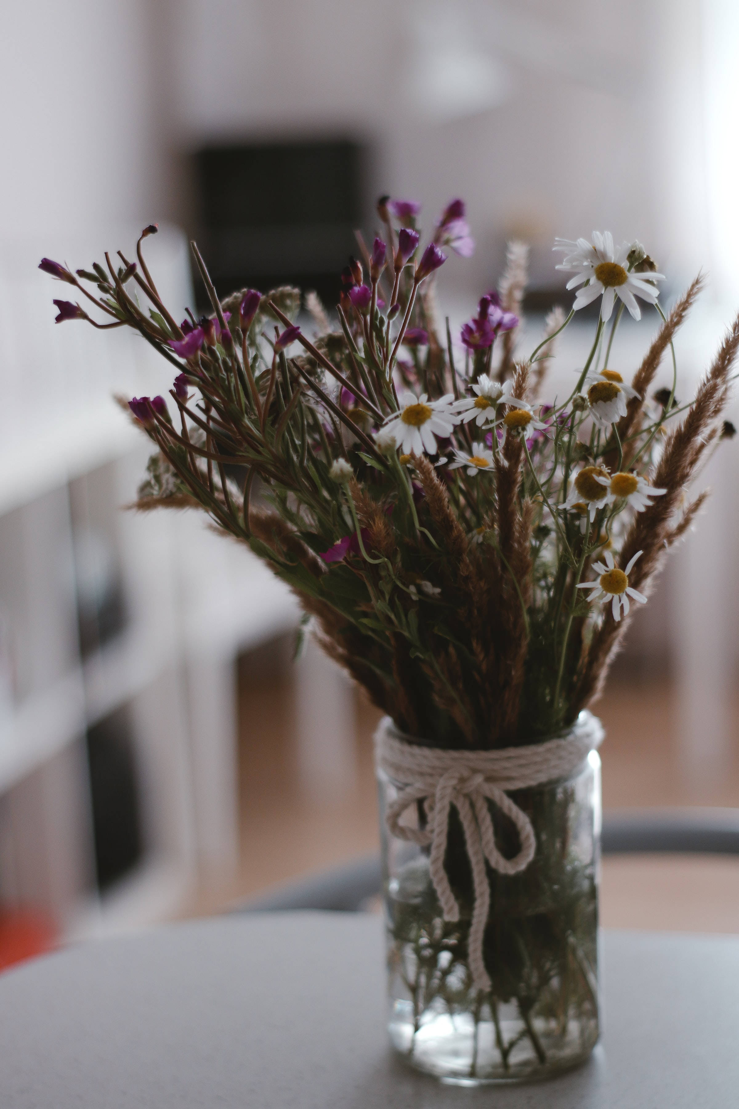 catchflies, chamomile, glass jar, 2K Phone Wallpaper