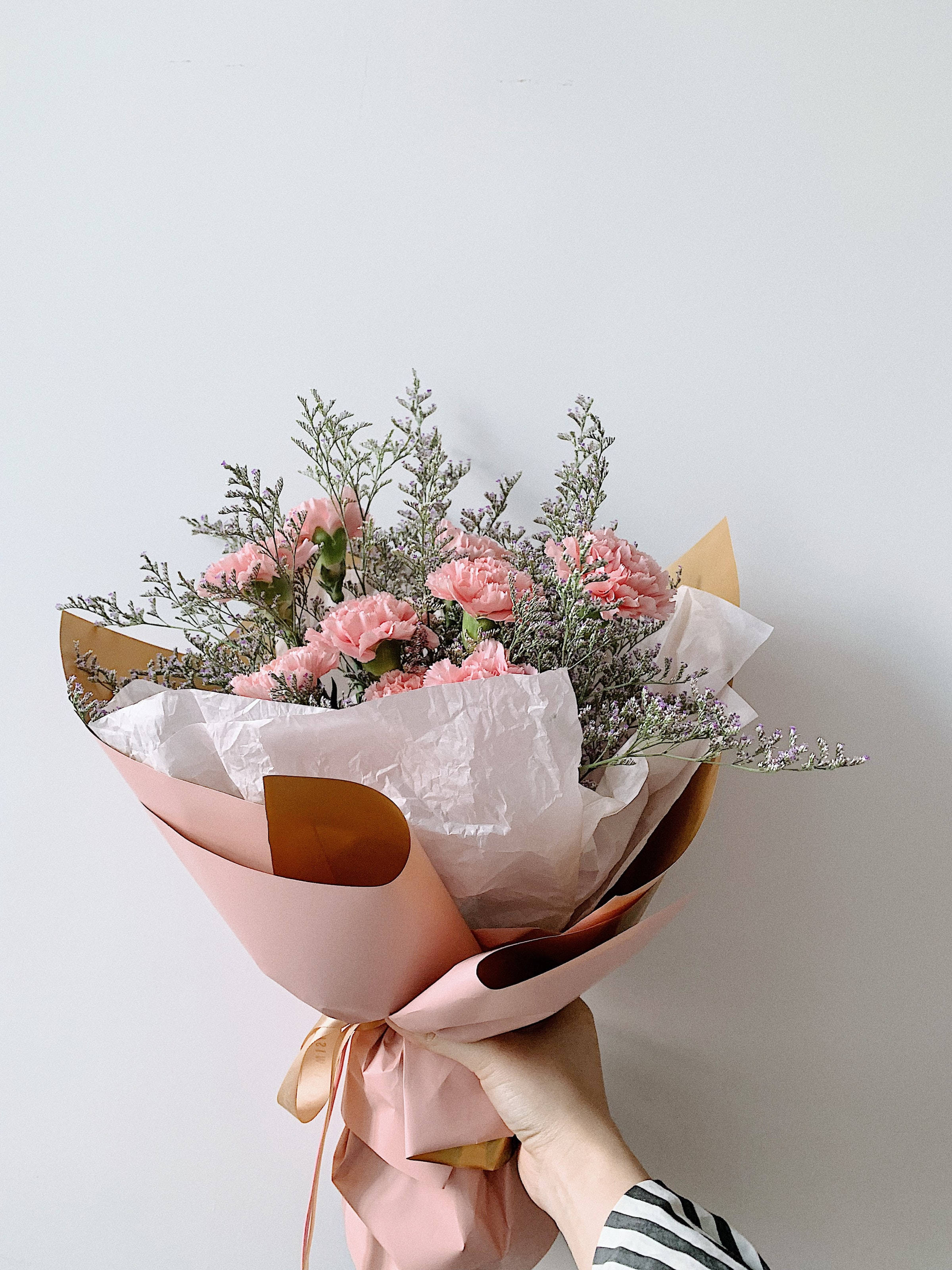 pink carnations, lavender filler, soft pink and gold paper, 2K Phone Wallpaper