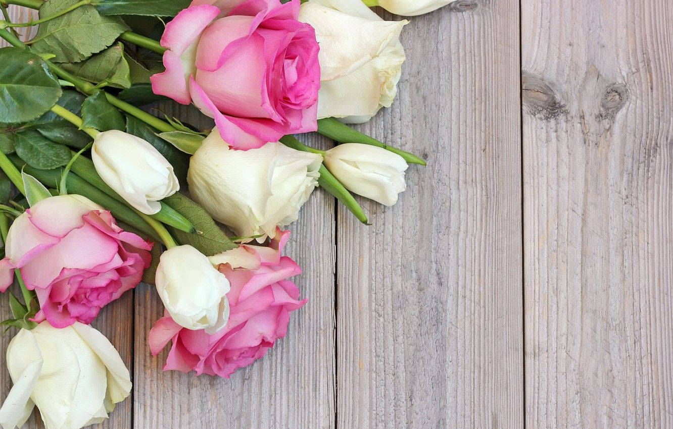 white tulips, roses, pink and white roses, HD Desktop Wallpaper