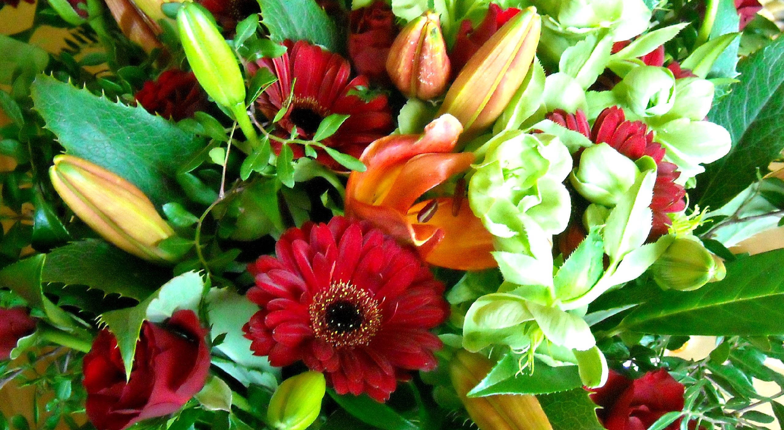 bouquet, tulips, daisies, 2K Desktop Wallpaper
