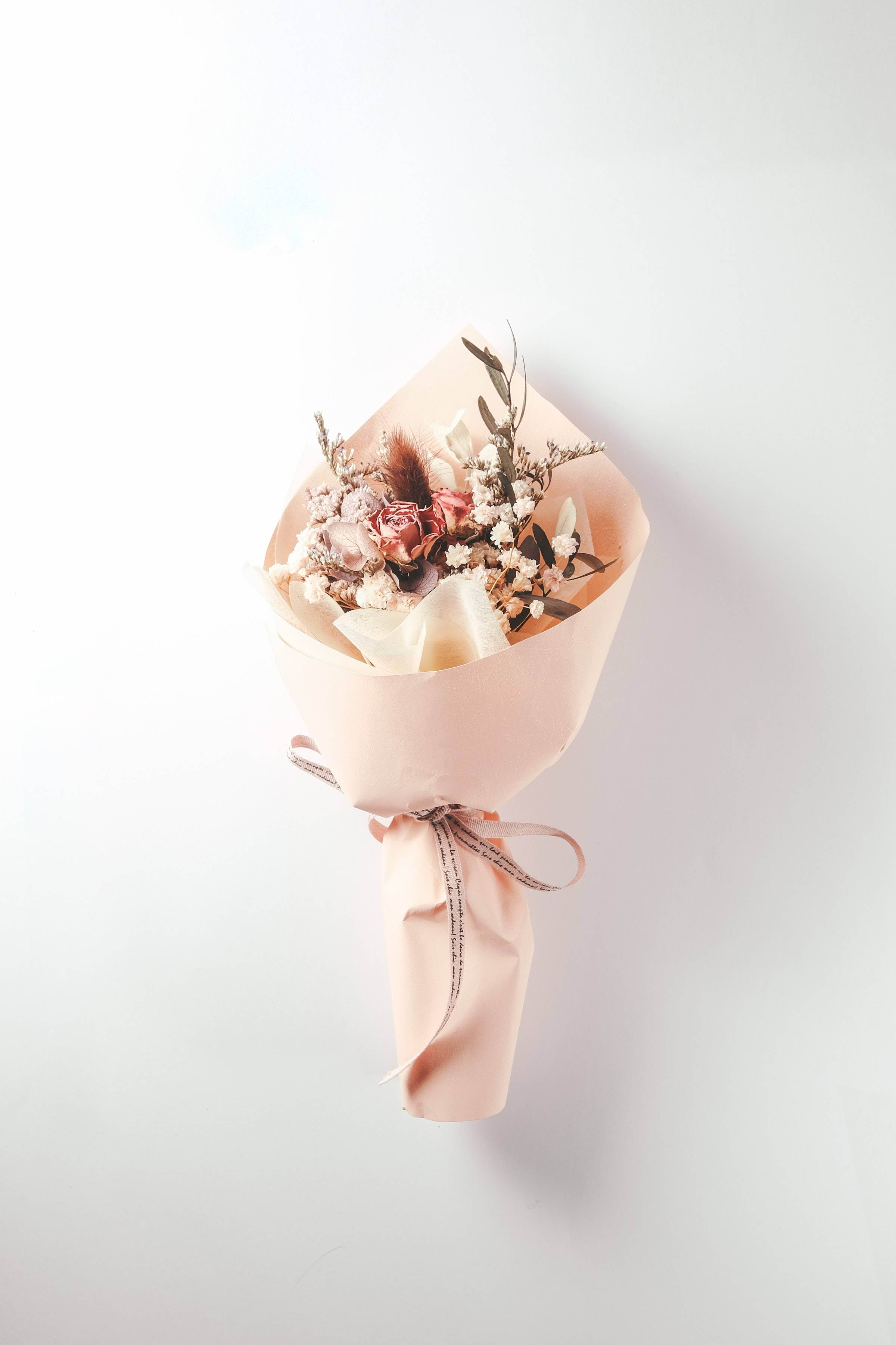 pink rose, baby's breath, dried flowers, 2K Phone Wallpaper