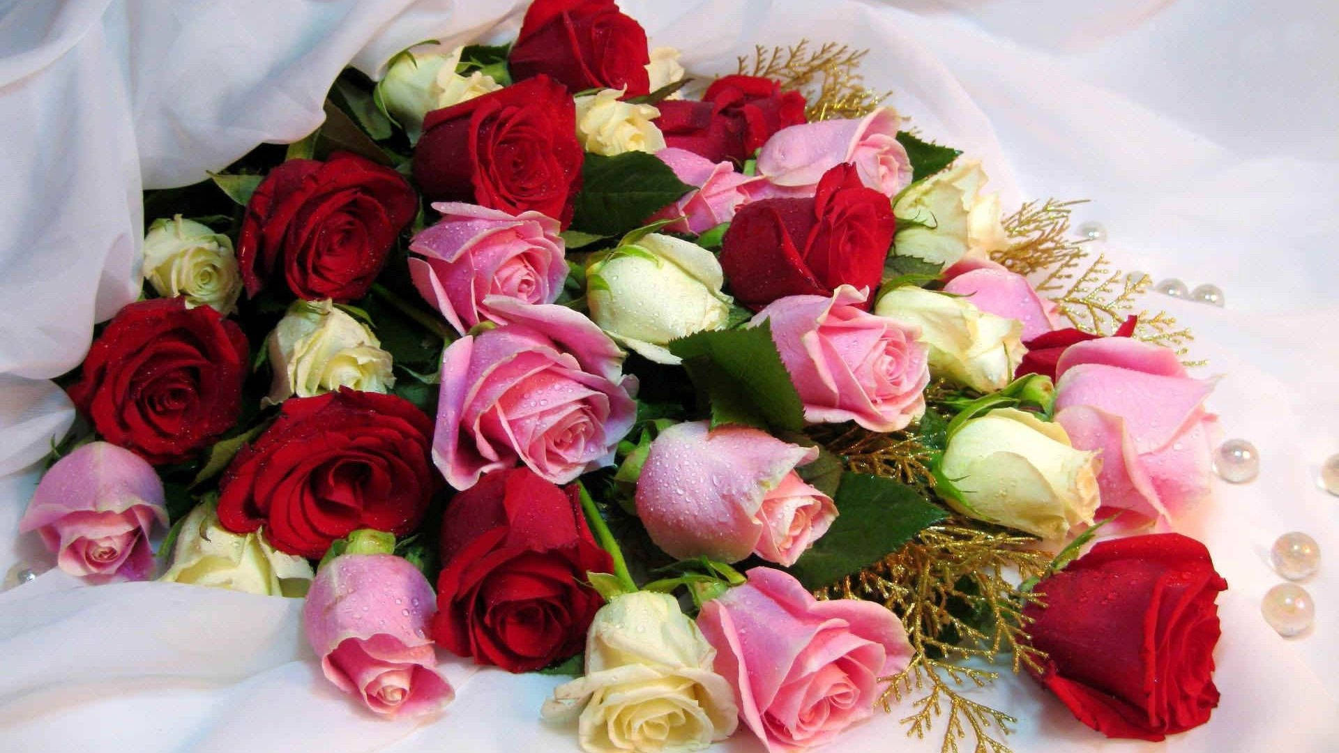 bouquet delicate roses, red pink and cream roses, dew drops, Full HD Desktop Wallpaper
