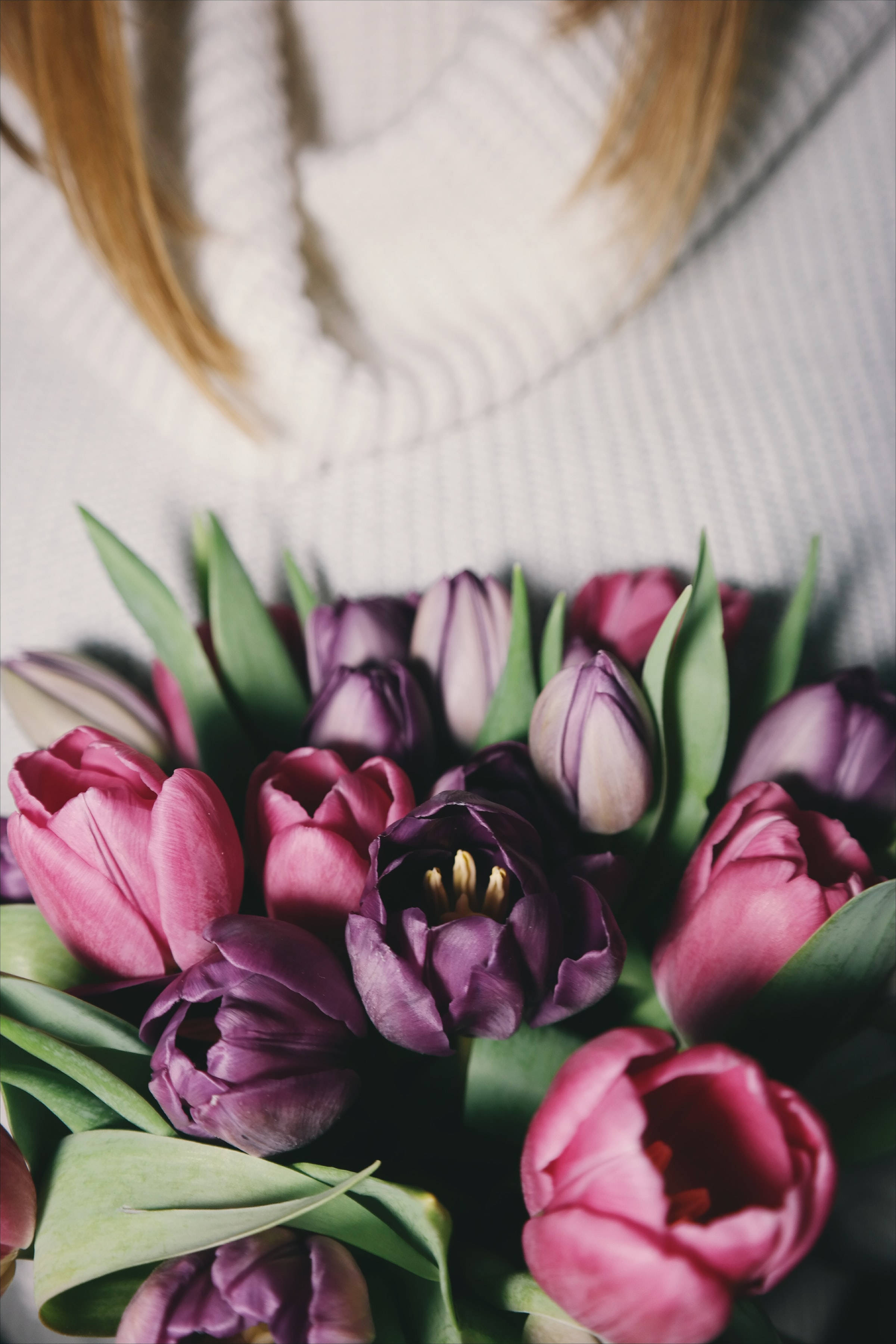pink and purple tulips, white ribbed sweater, blonde hair, 2K Phone Wallpaper